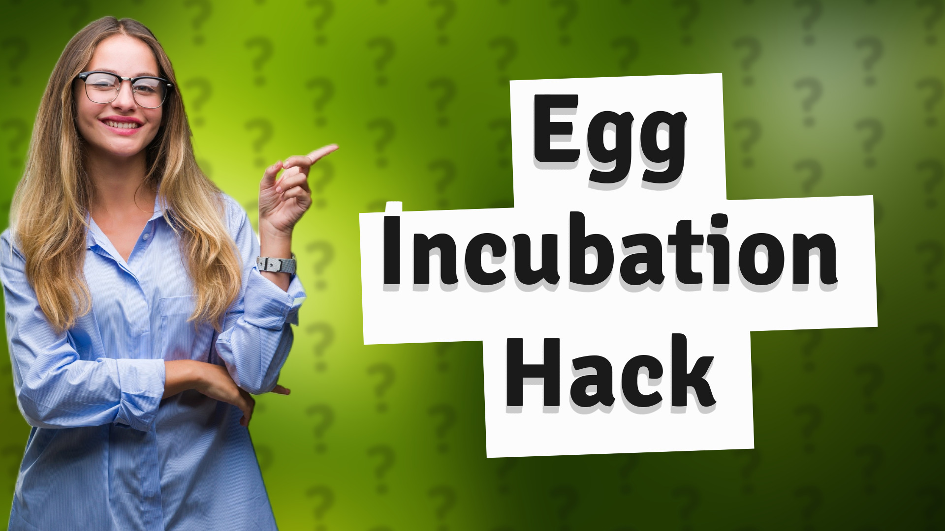 Egg Incubation Hack