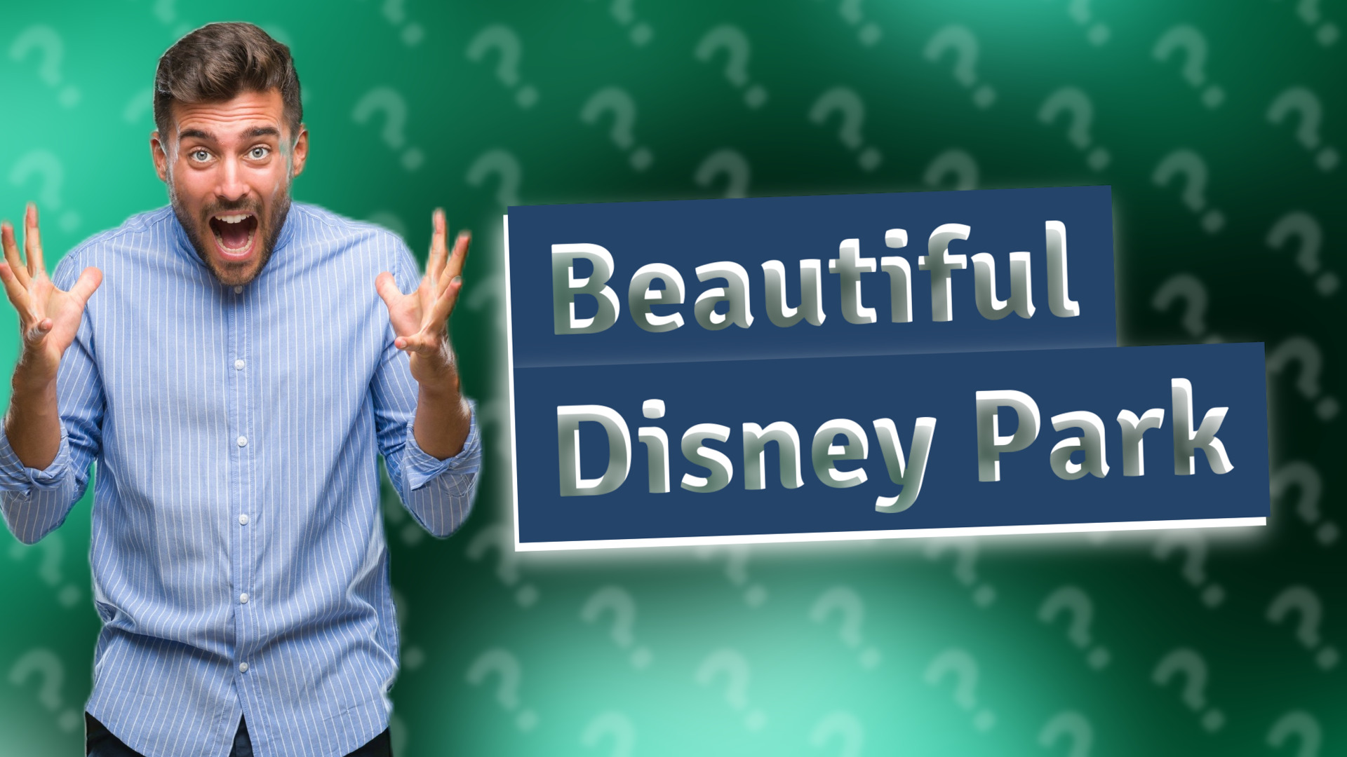 Beautiful Disney Park