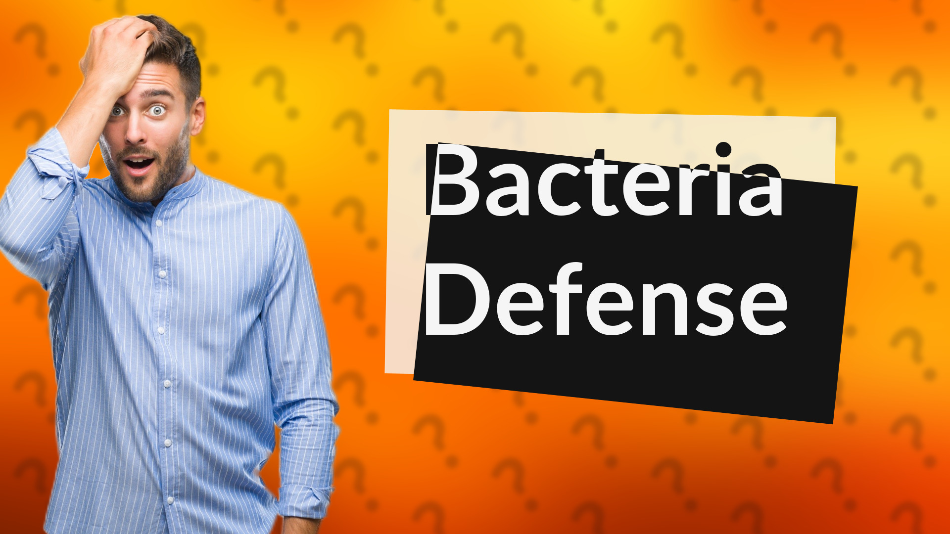 Bacteria Defense