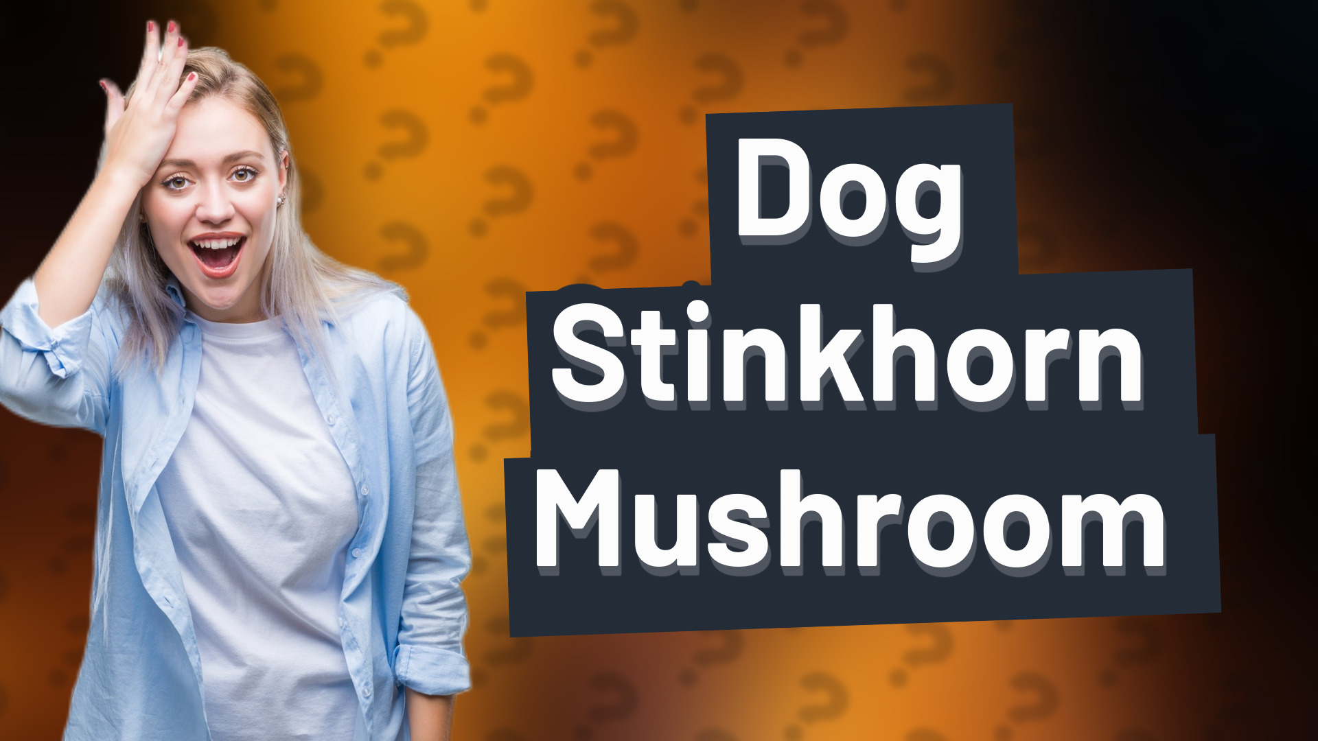 Dog Stinkhorn Mushroom