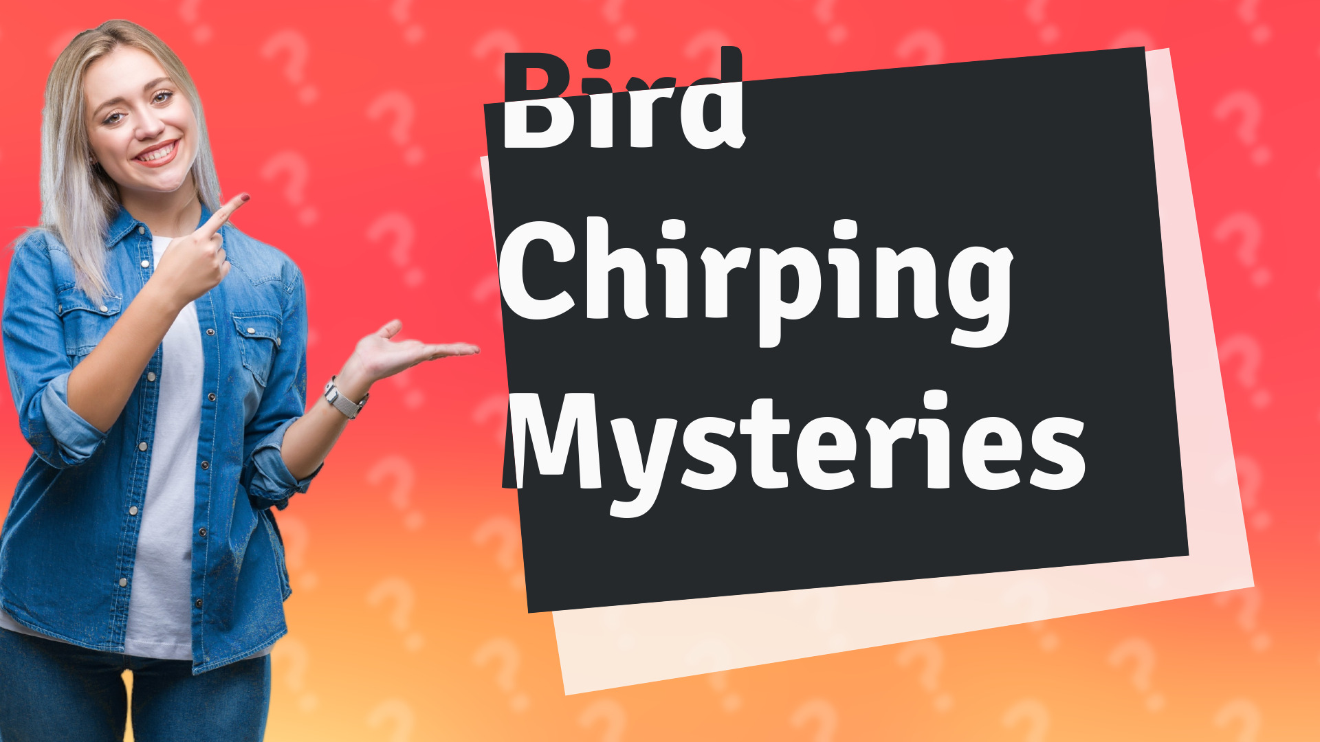 Bird Chirping Mysteries