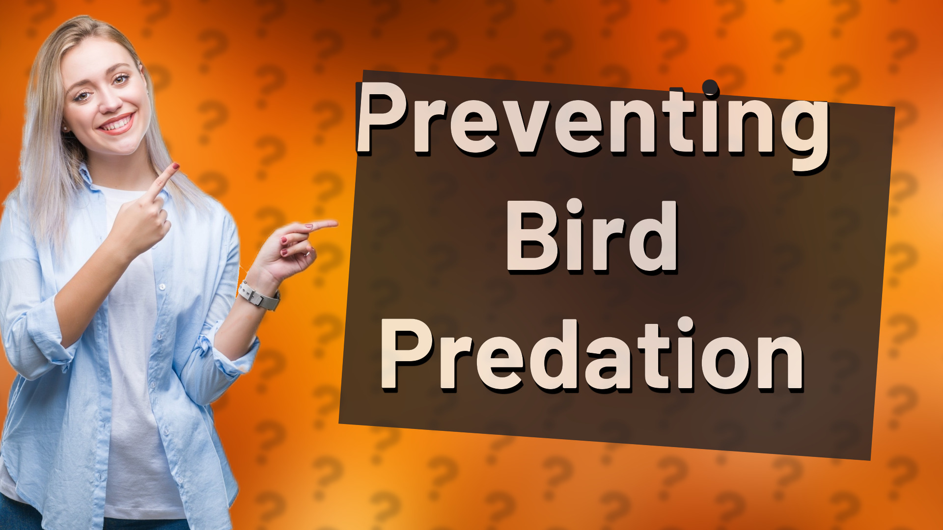 Preventing Bird Predation