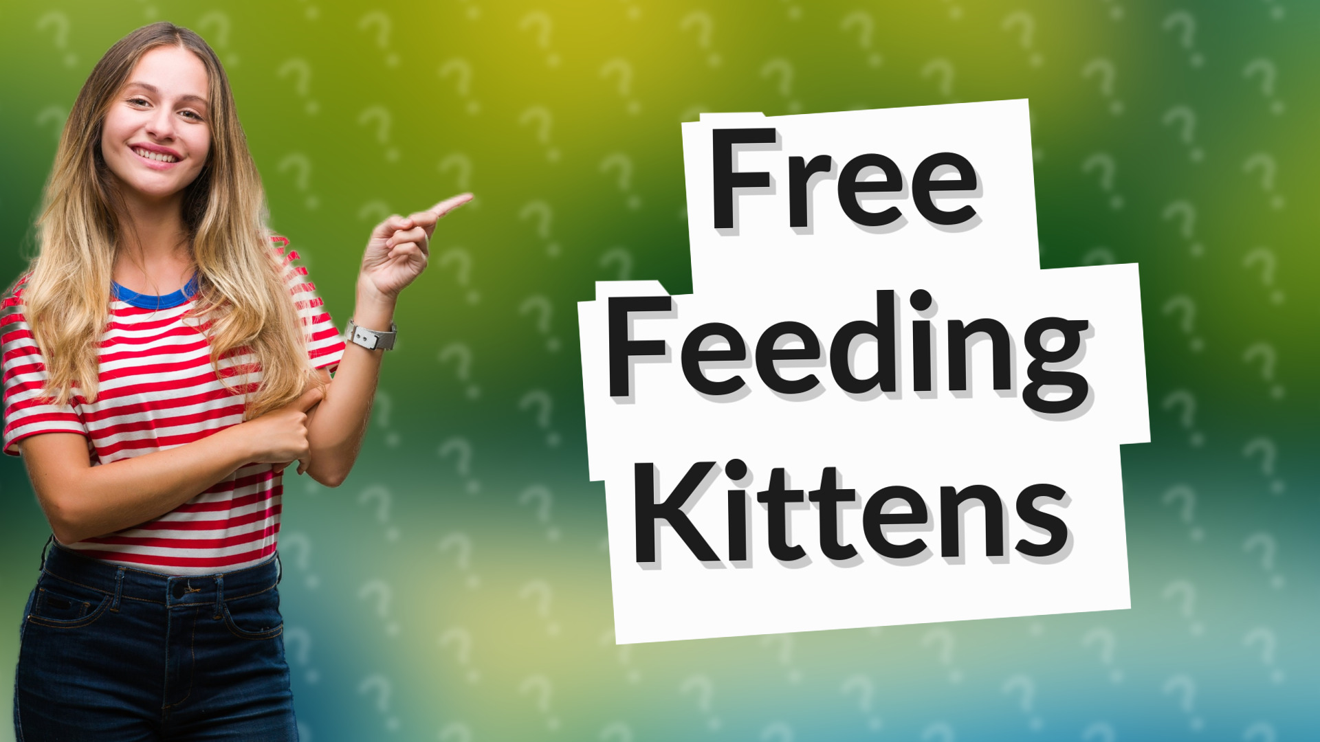 Free Feeding Kittens