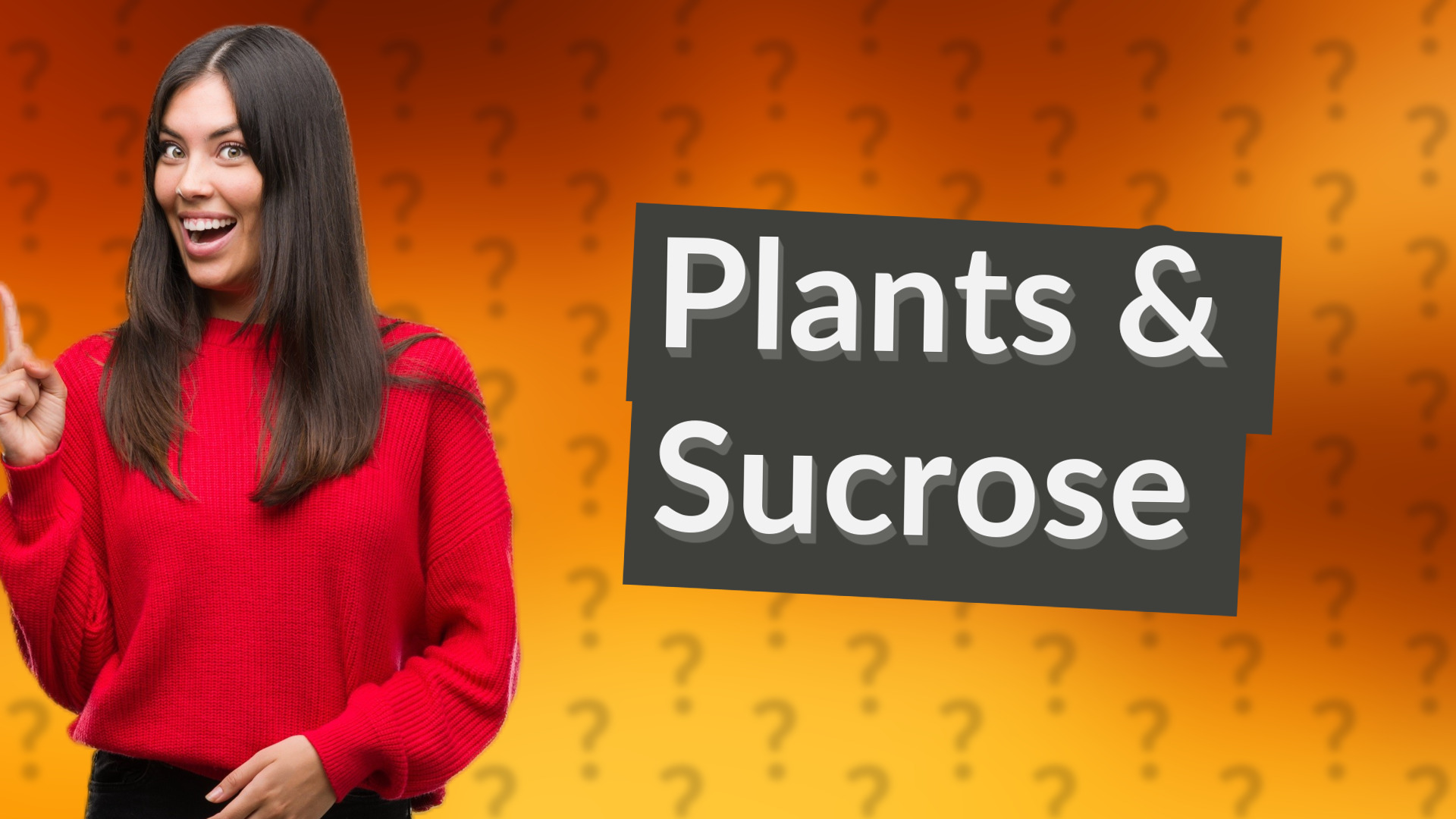 Plants & Sucrose