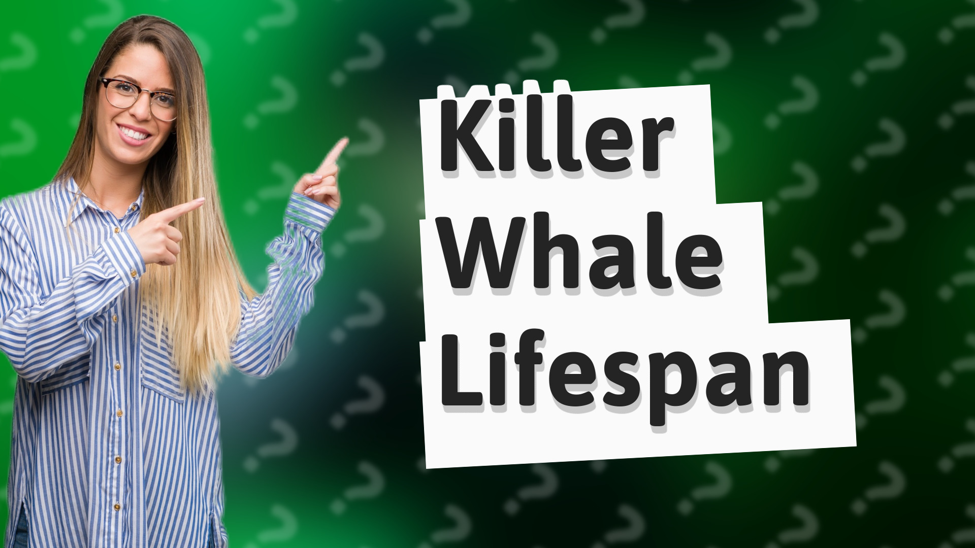 Killer Whale Lifespan