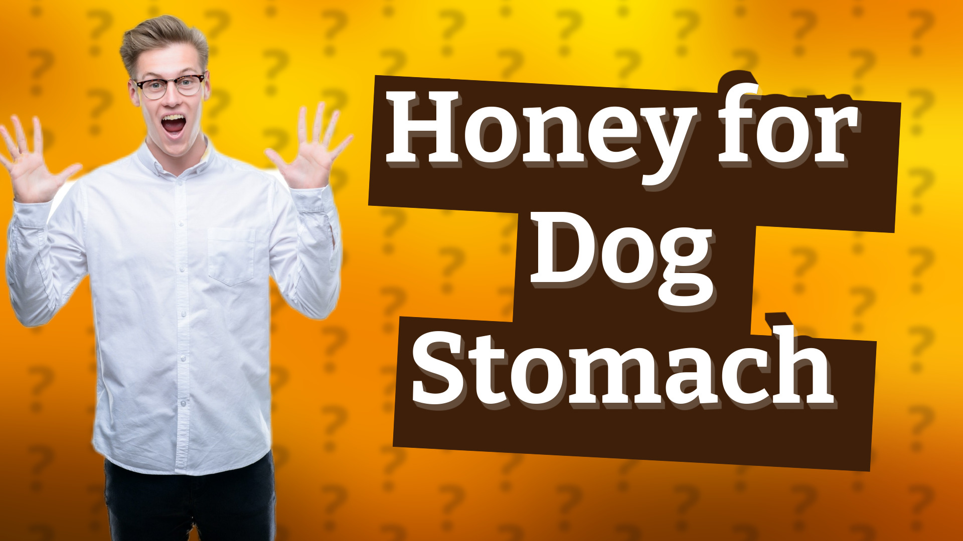 Honey for Dog Stomach
