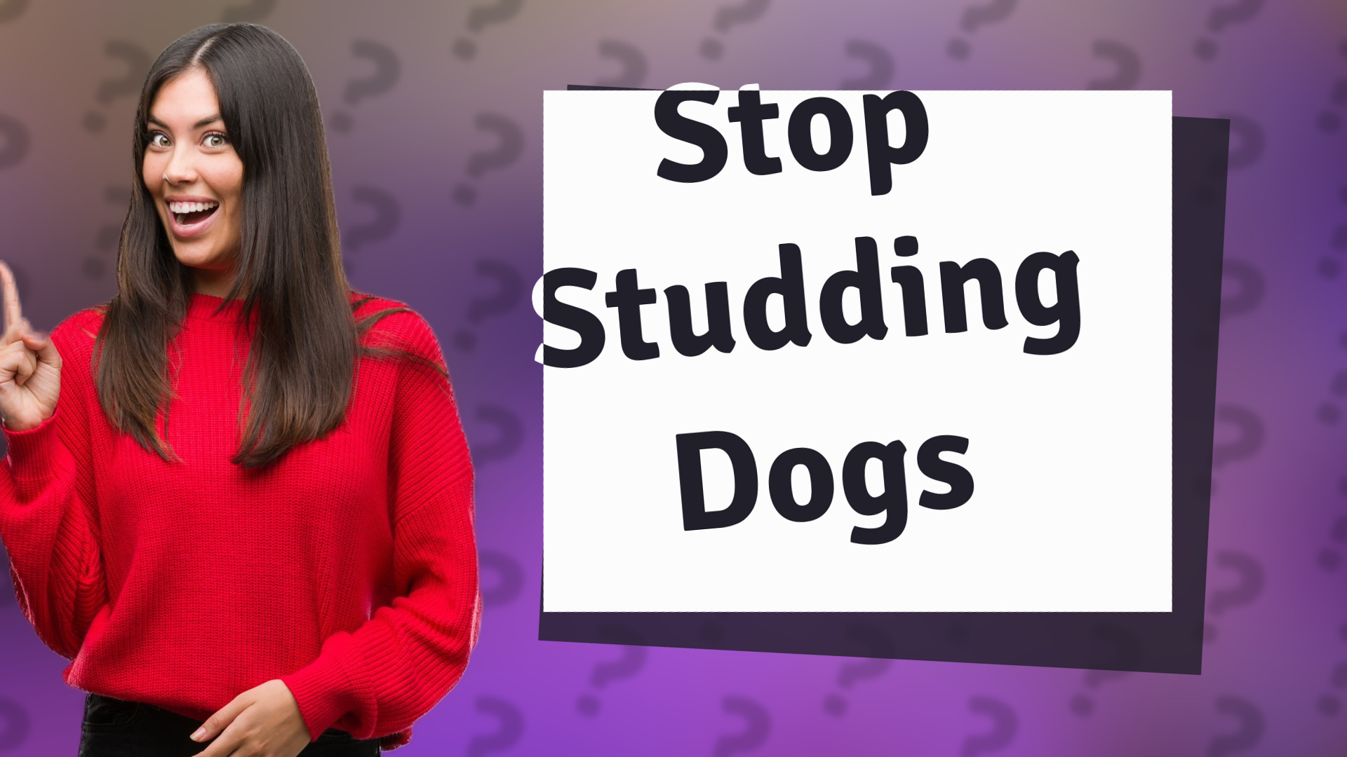Stop Studding Dogs