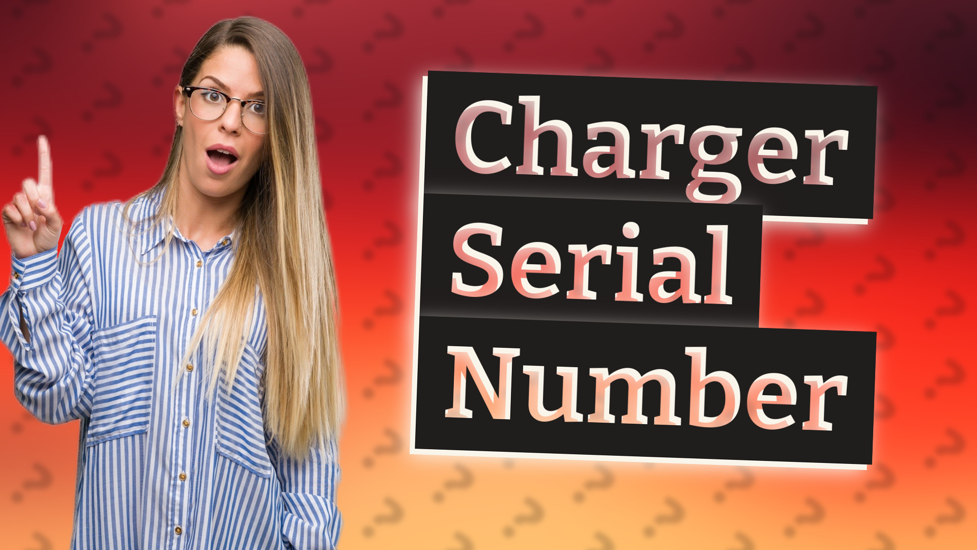 Charger Serial Number