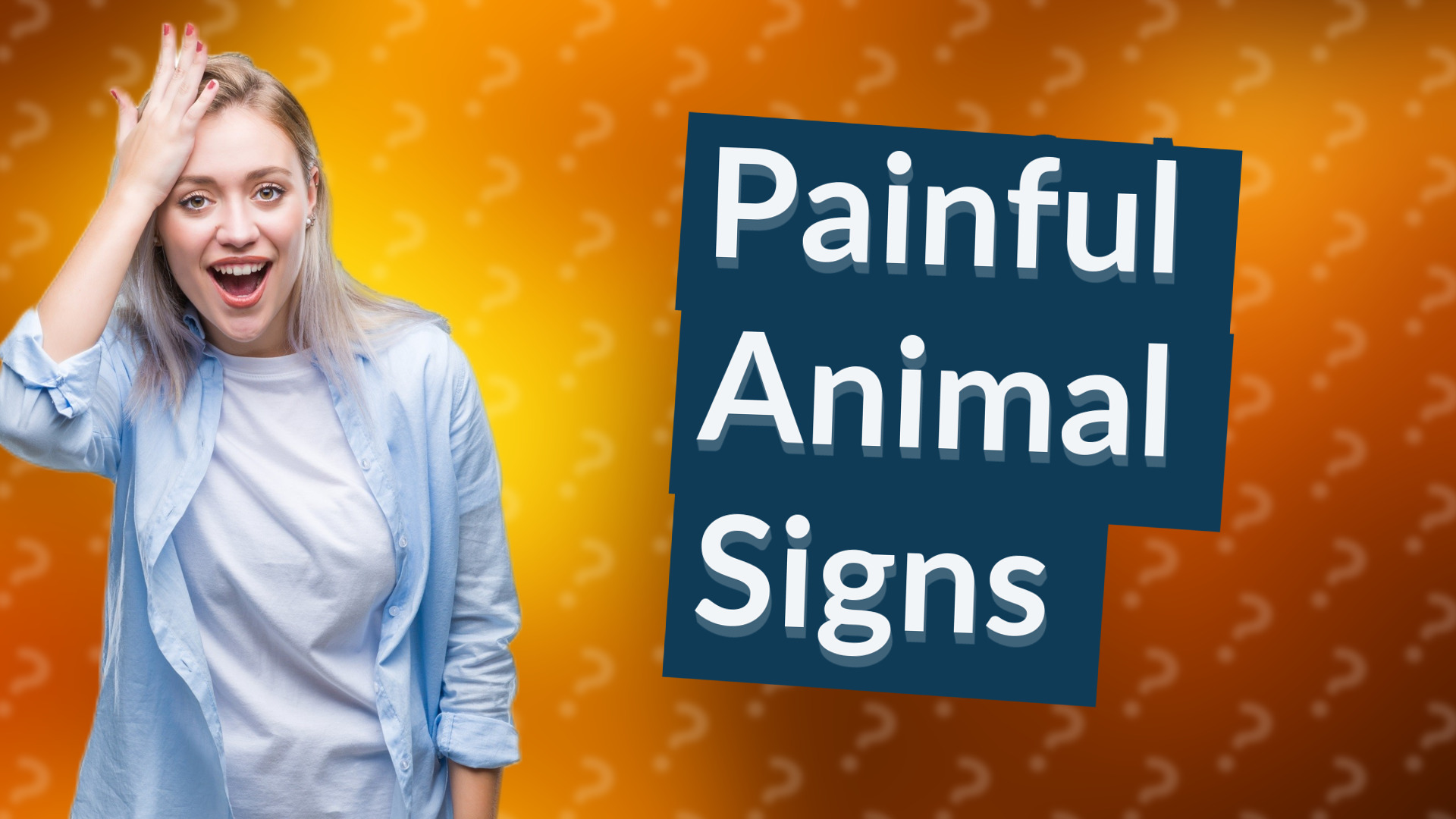 Painful Animal Signs