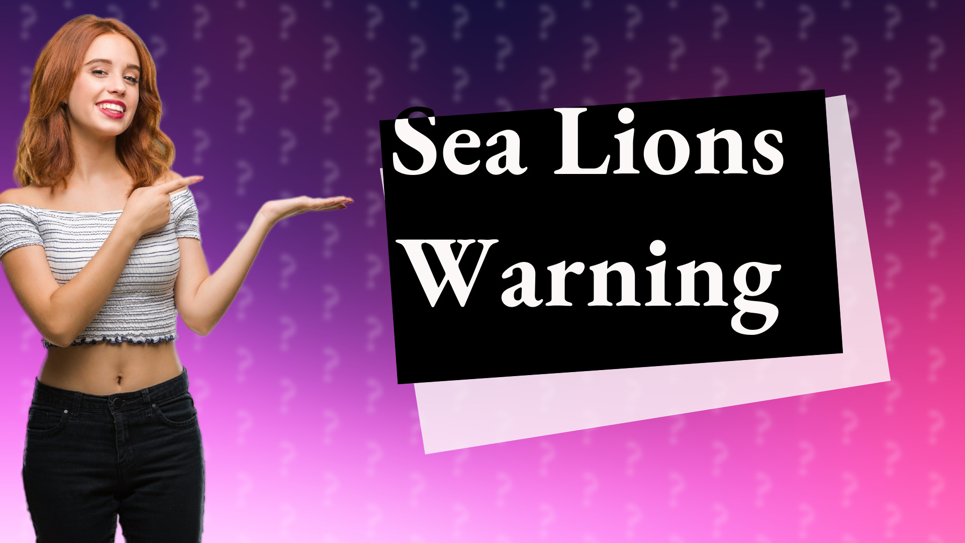 Sea Lions Warning