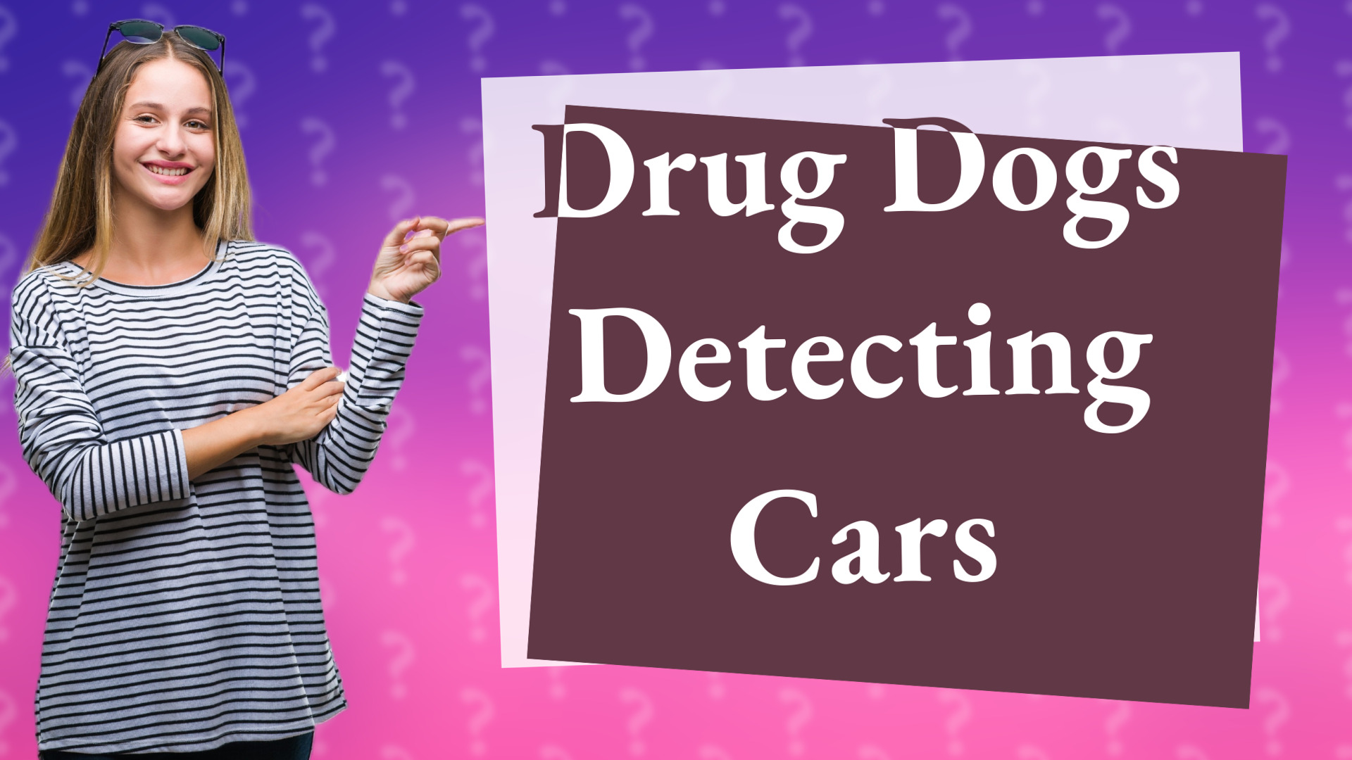 Drug Dogs Detecting Cars