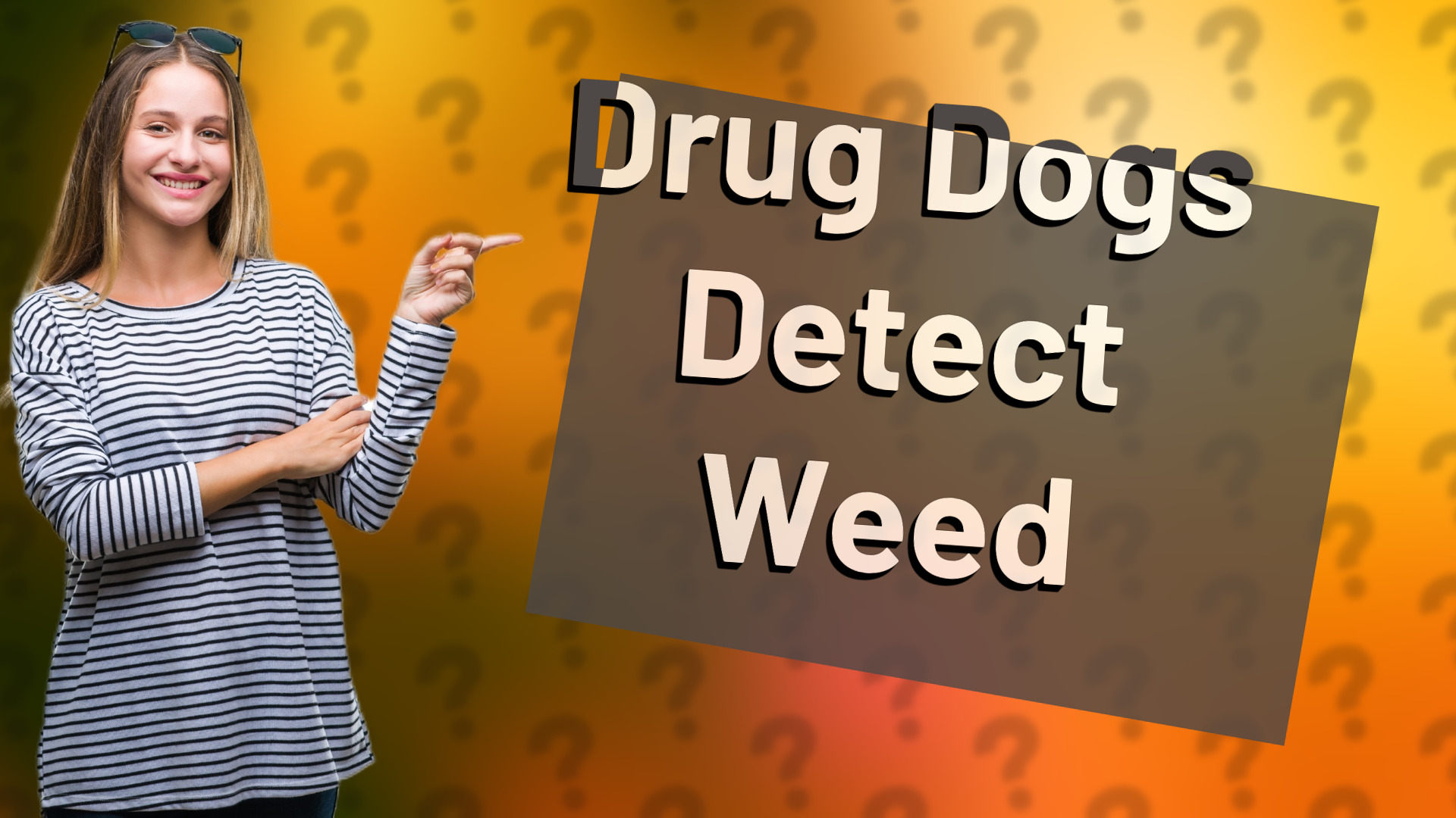 Drug Dogs Detect Weed