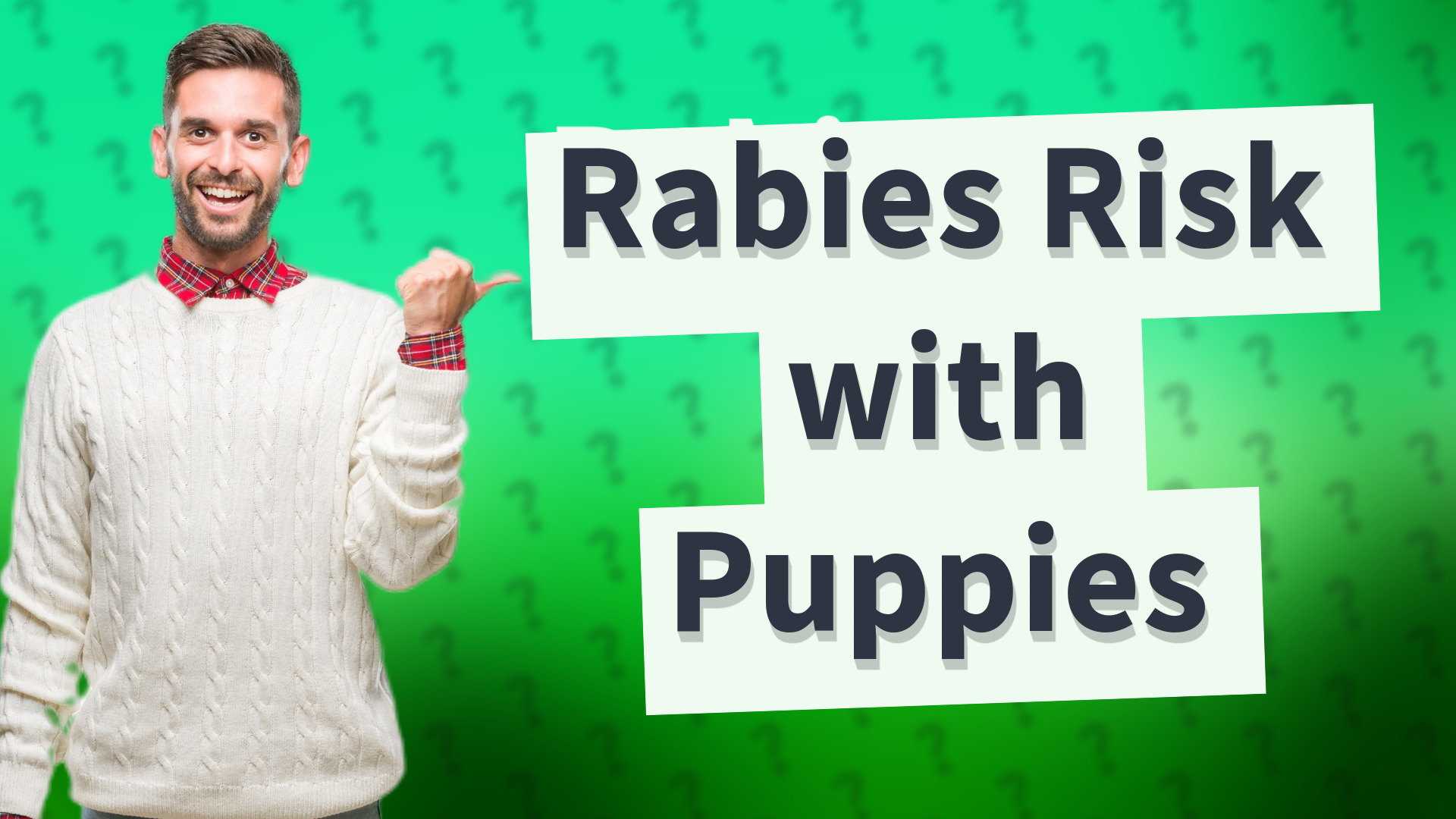 Rabies Risk with Puppies