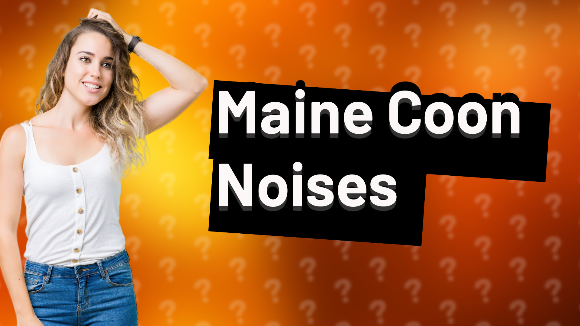 Maine Coon Noises