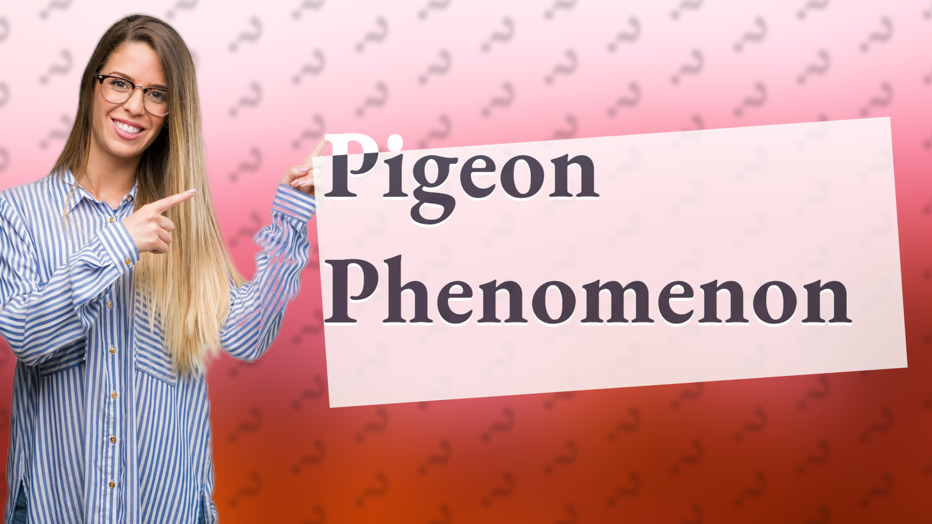 Pigeon Phenomenon
