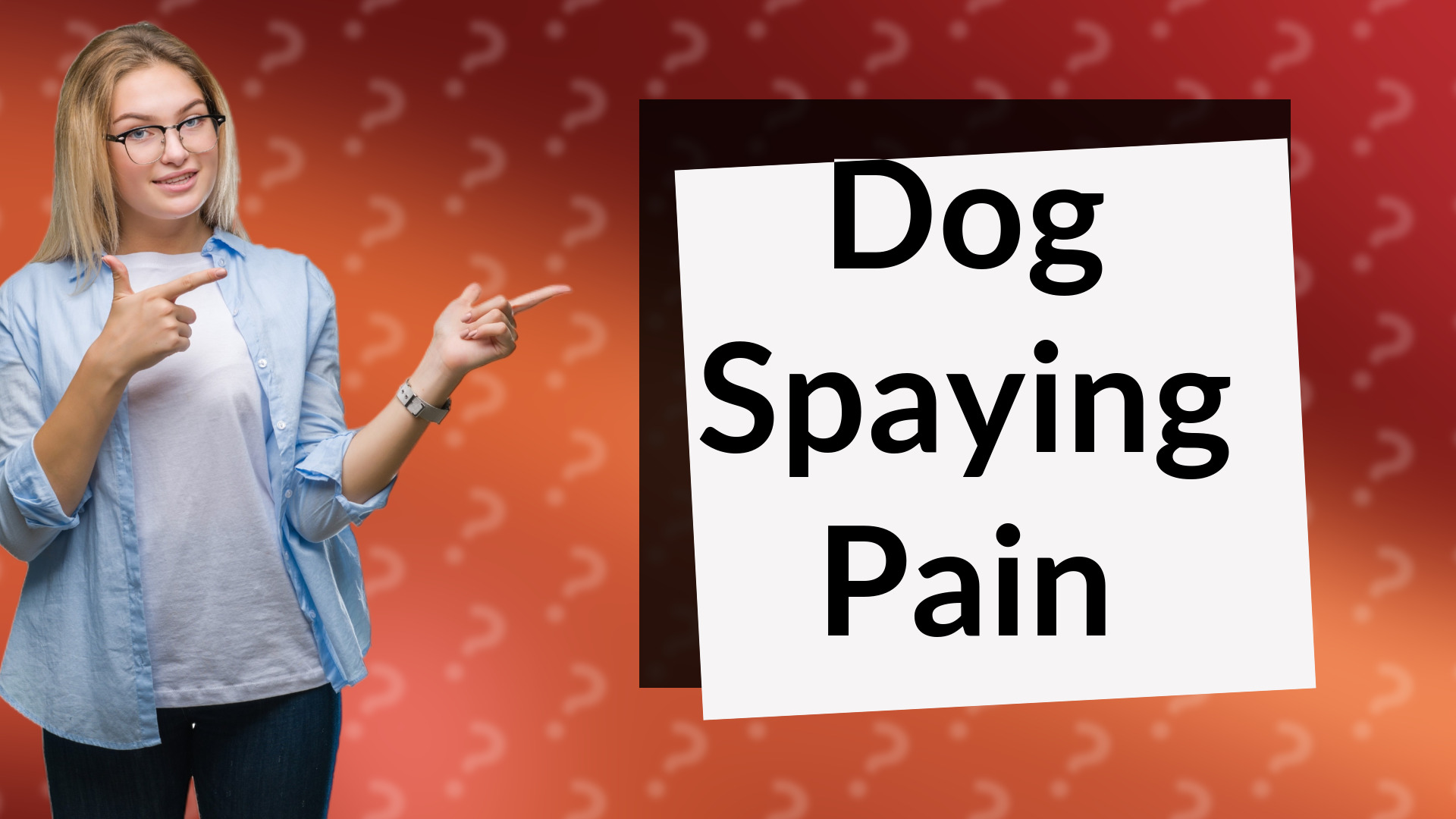 Dog Spaying Pain