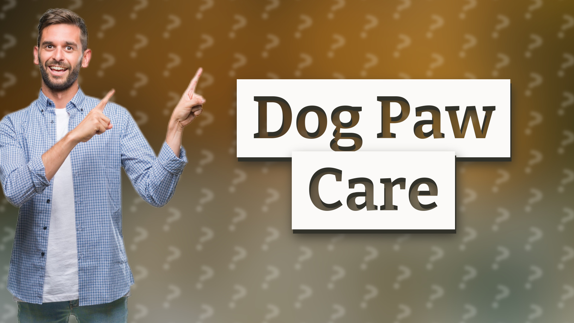 Dog Paw Care
