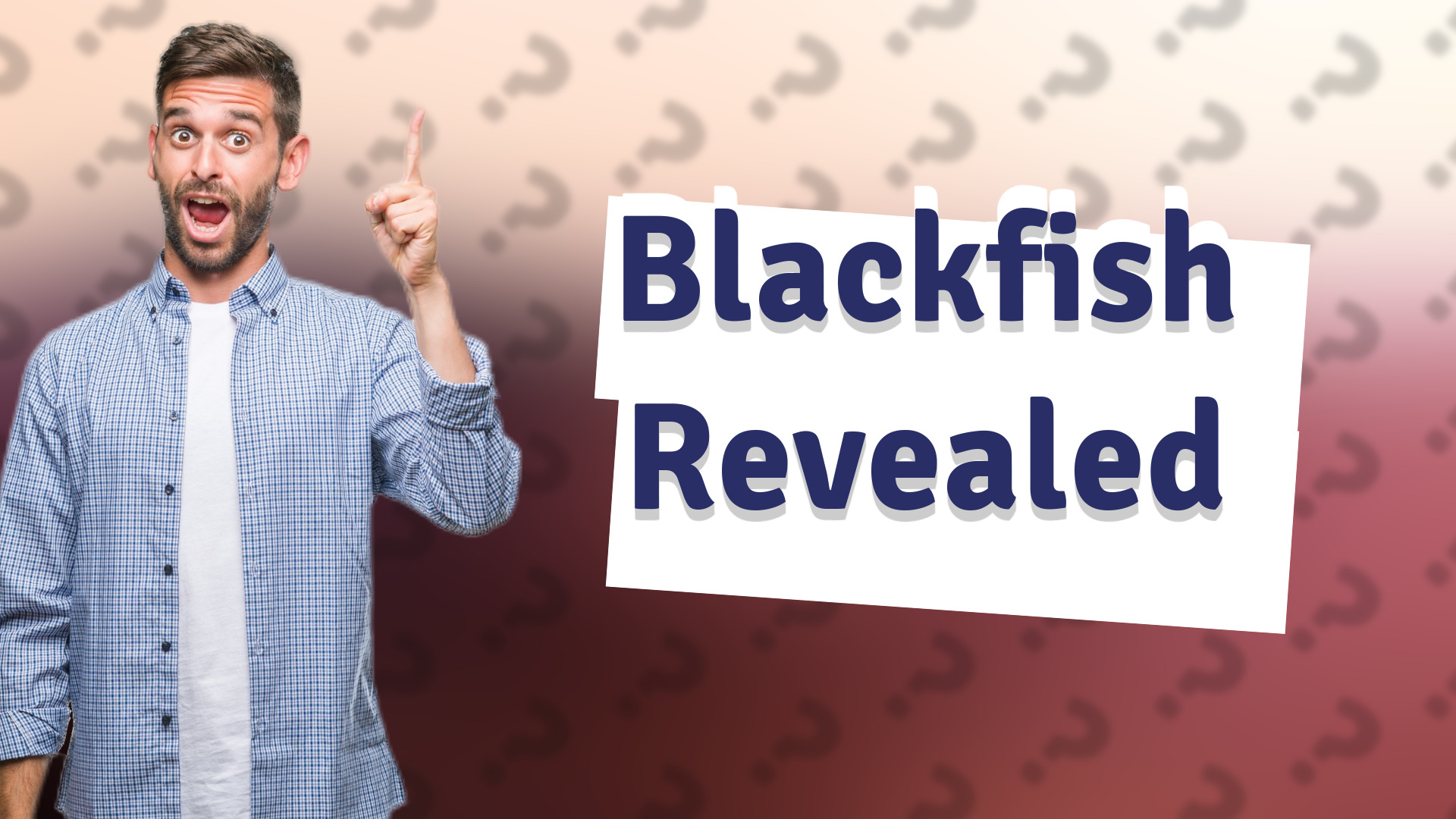 Blackfish Revealed