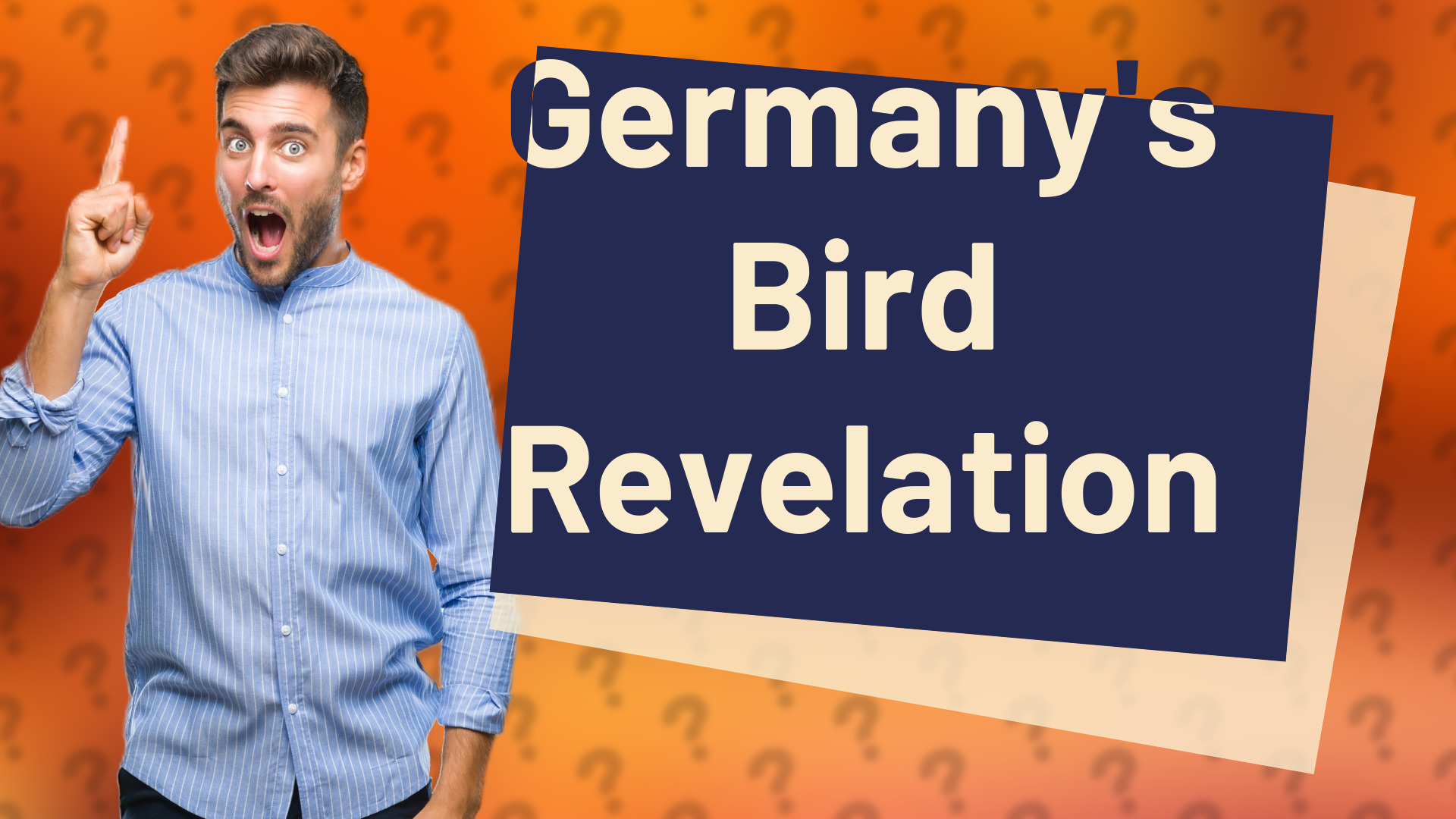 Germany's Bird Revelation