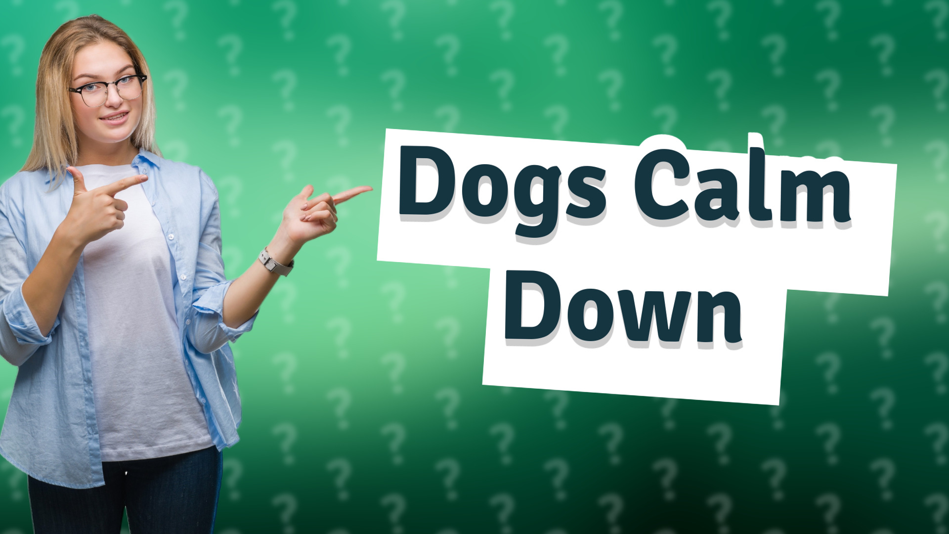 Dogs Calm Down