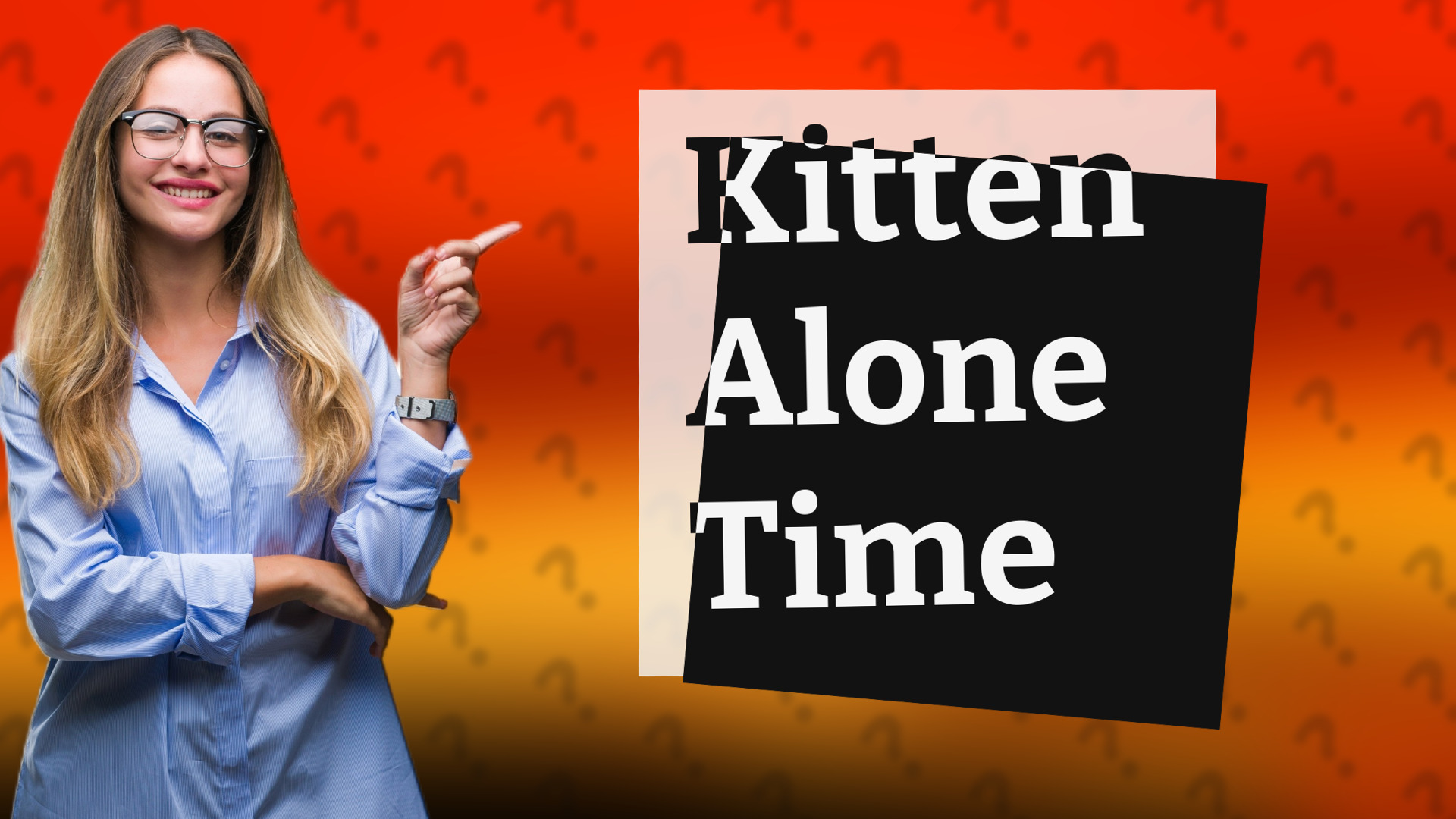 Kitten Alone Time