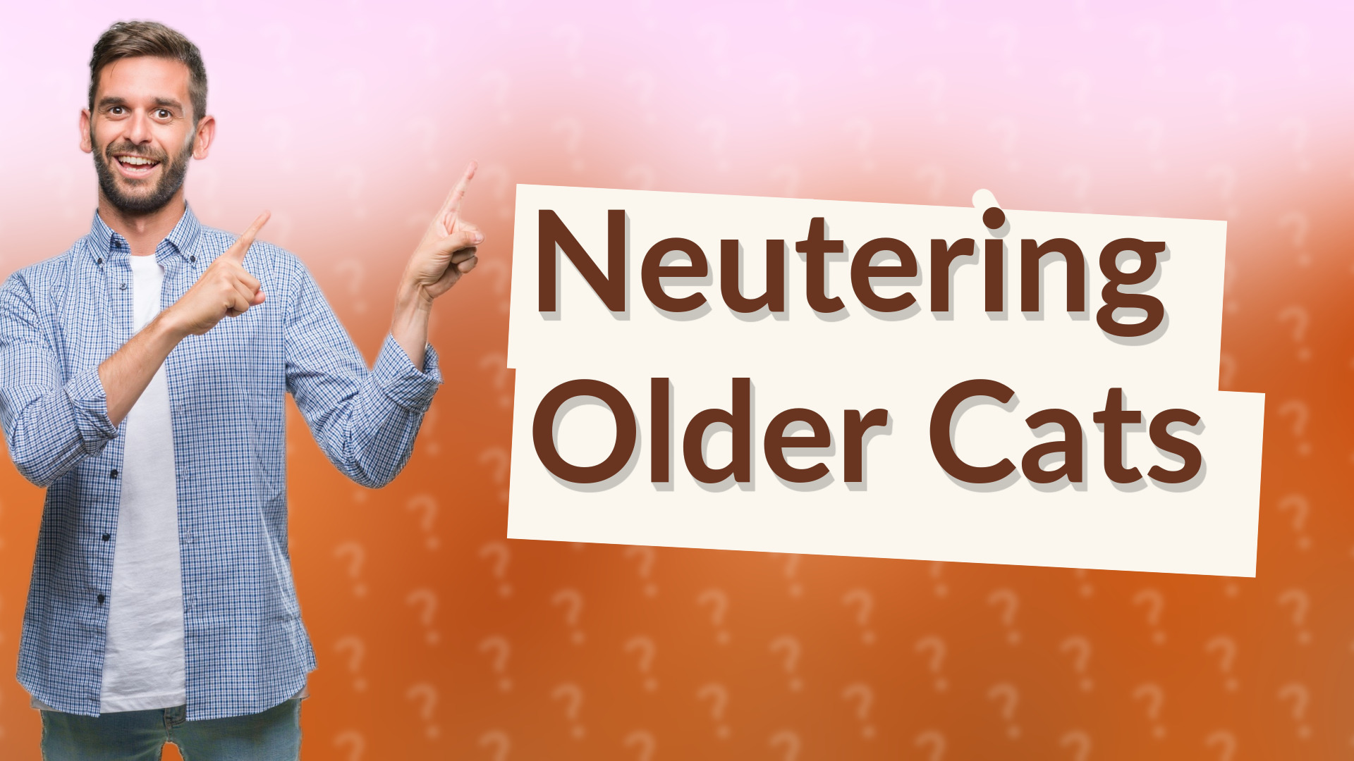 Neutering Older Cats