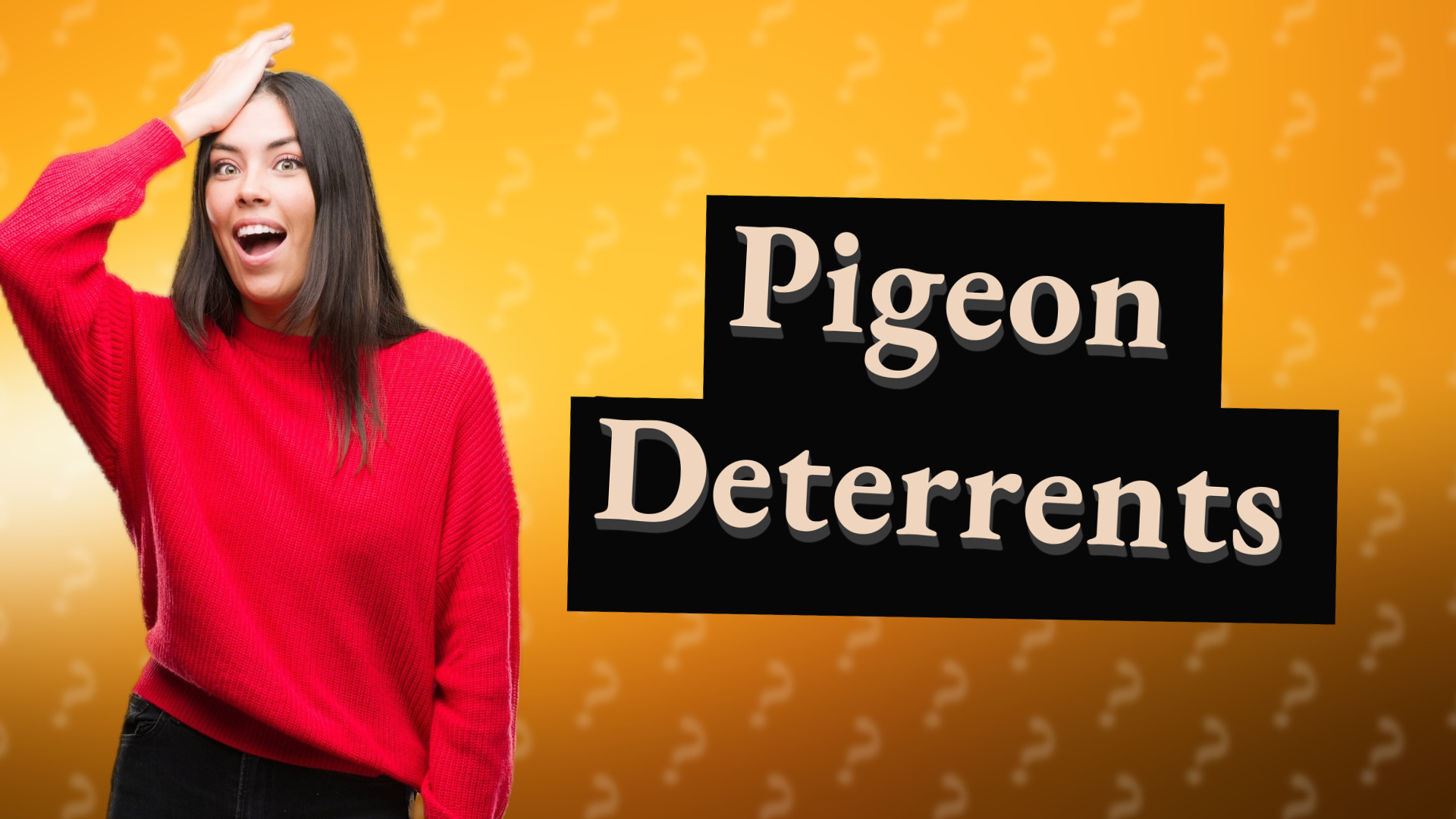 Pigeon Deterrents