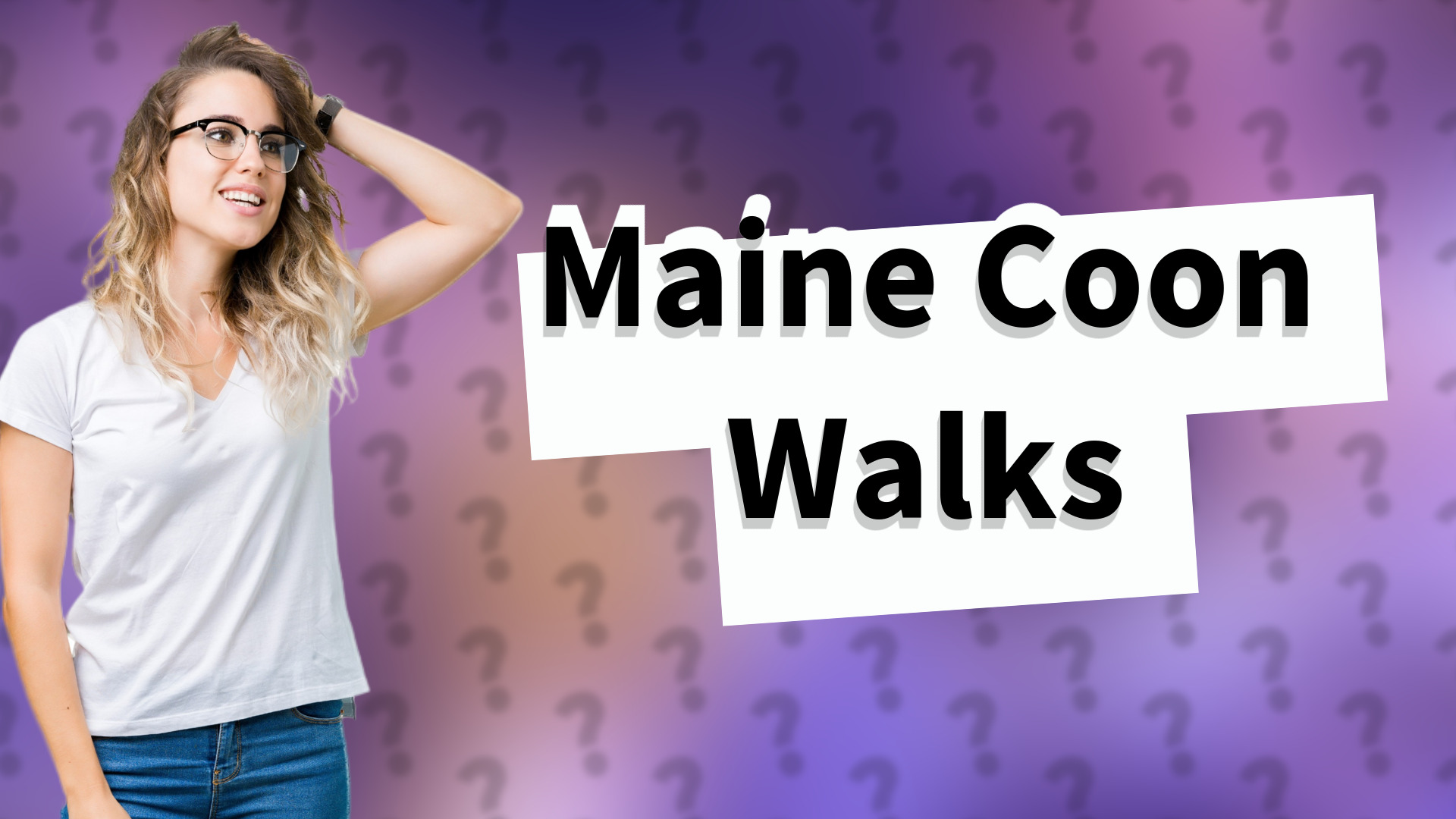 Maine Coon Walks