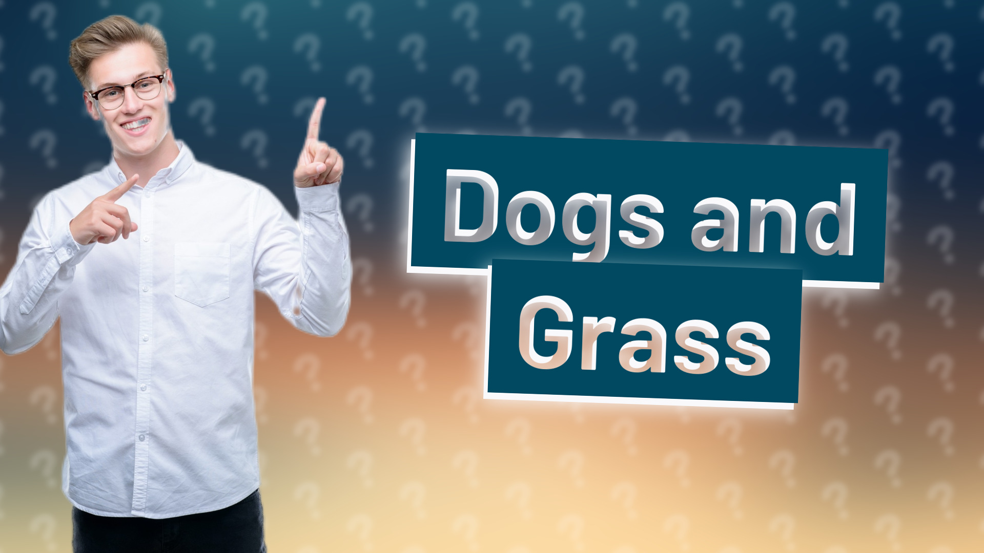Dogs and Grass