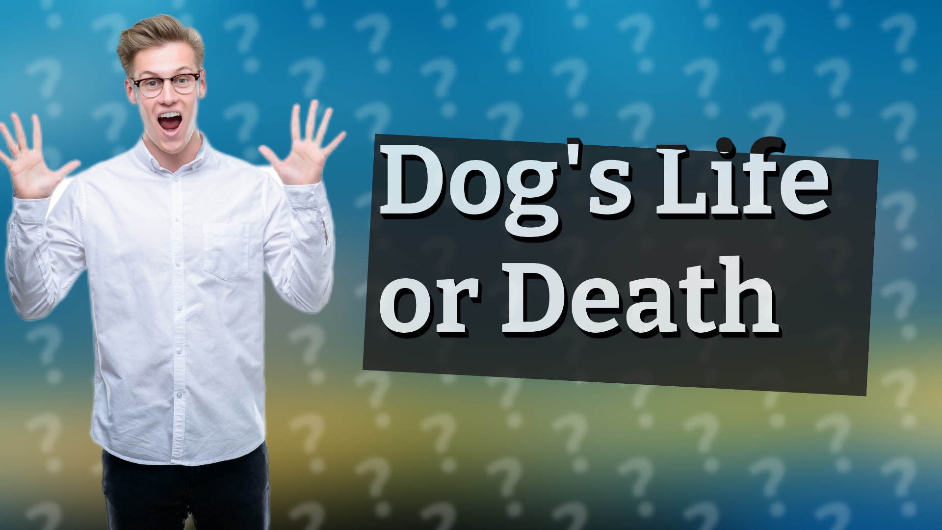 Dog's Life or Death