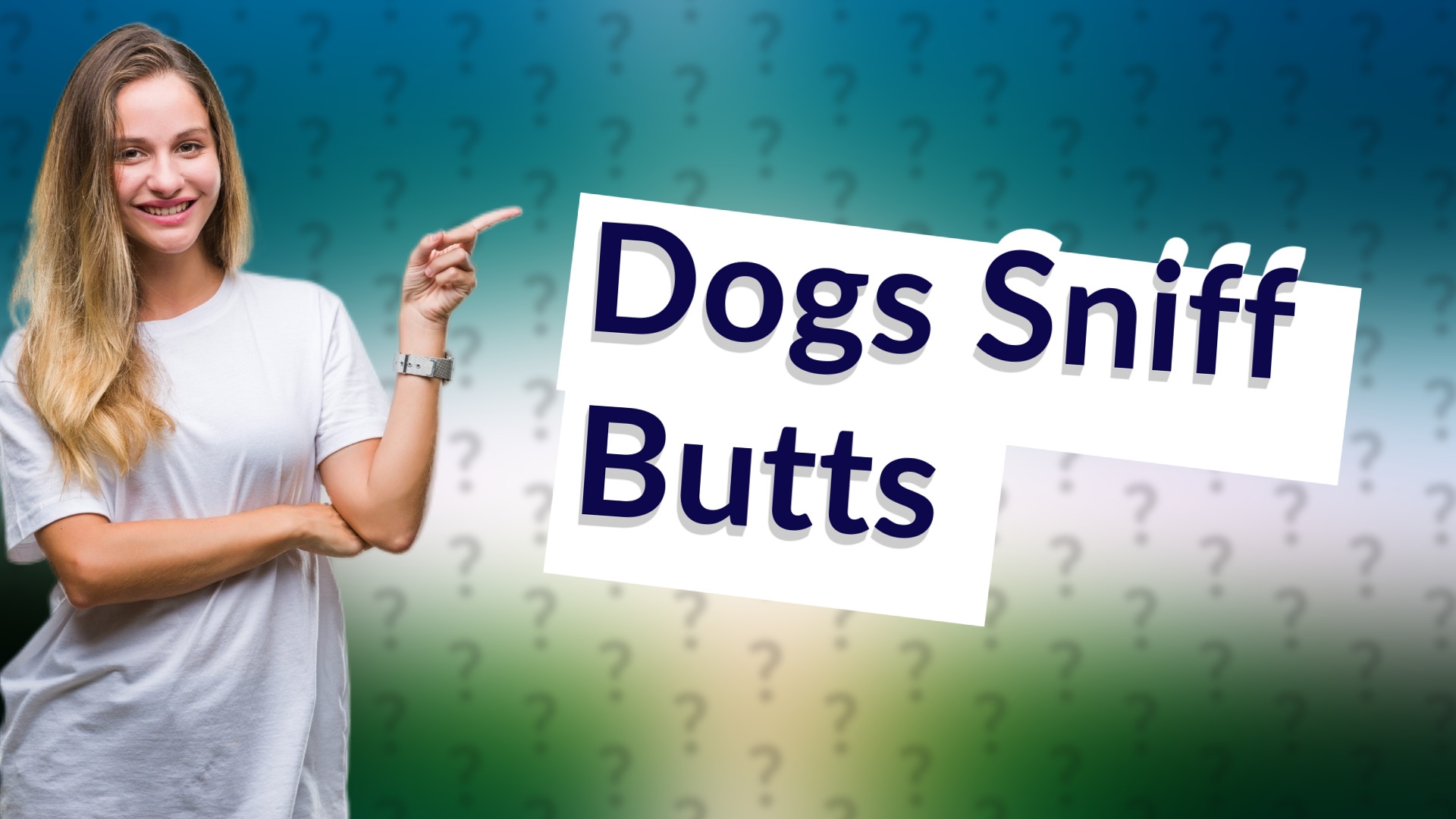 Dogs Sniff Butts