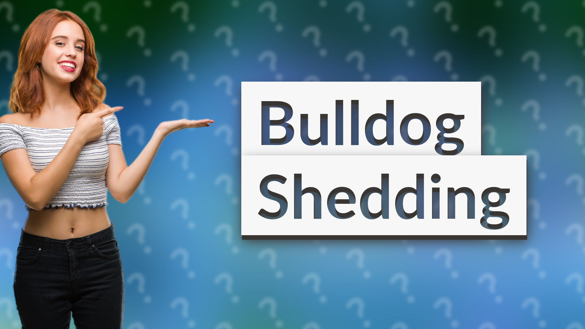 Bulldog Shedding