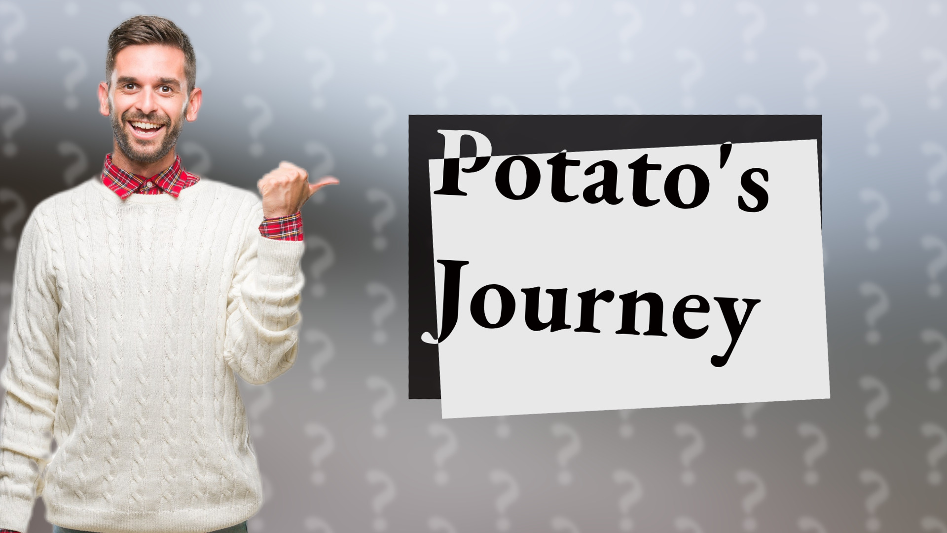 Potato's Journey