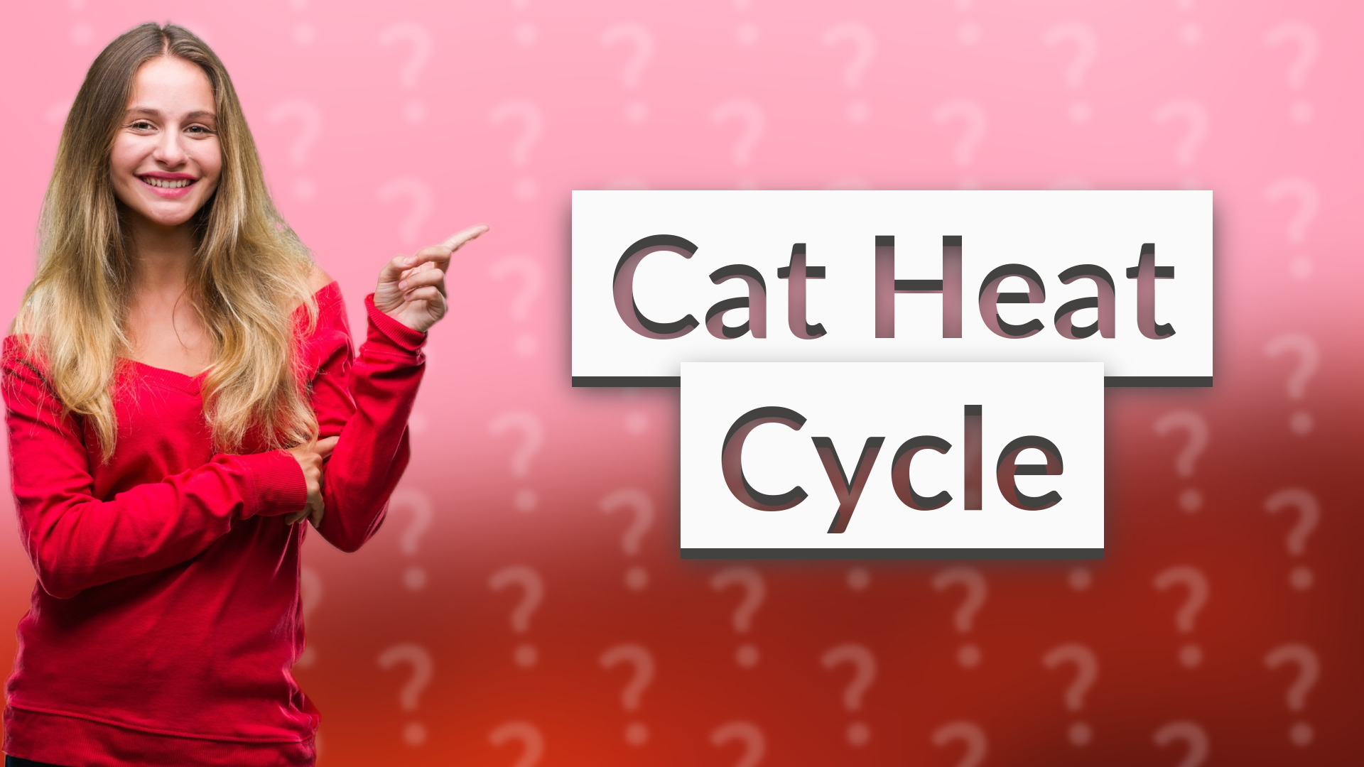 Cat Heat Cycle