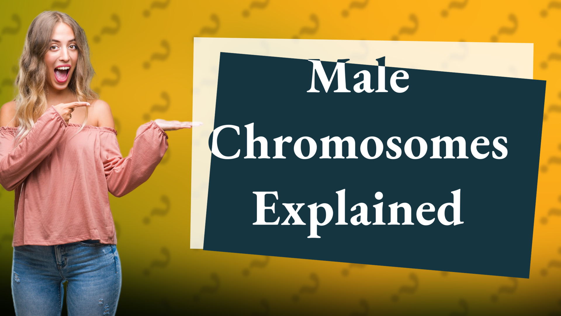 Male Chromosomes Explained