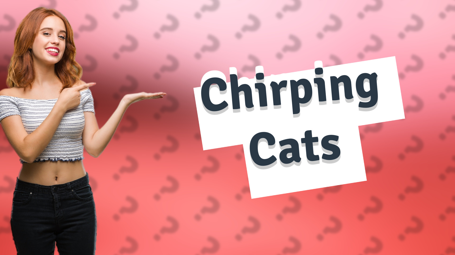 Chirping Cats