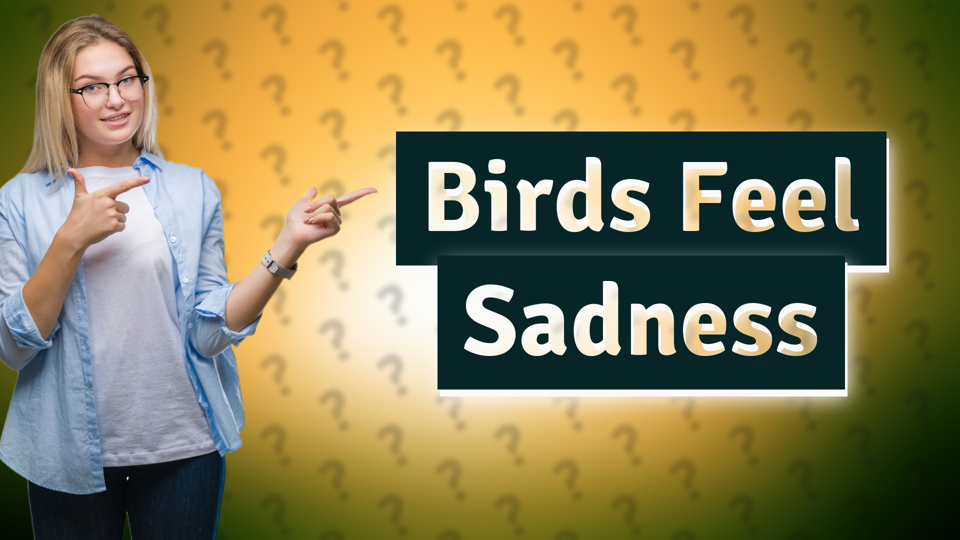 Birds Feel Sadness