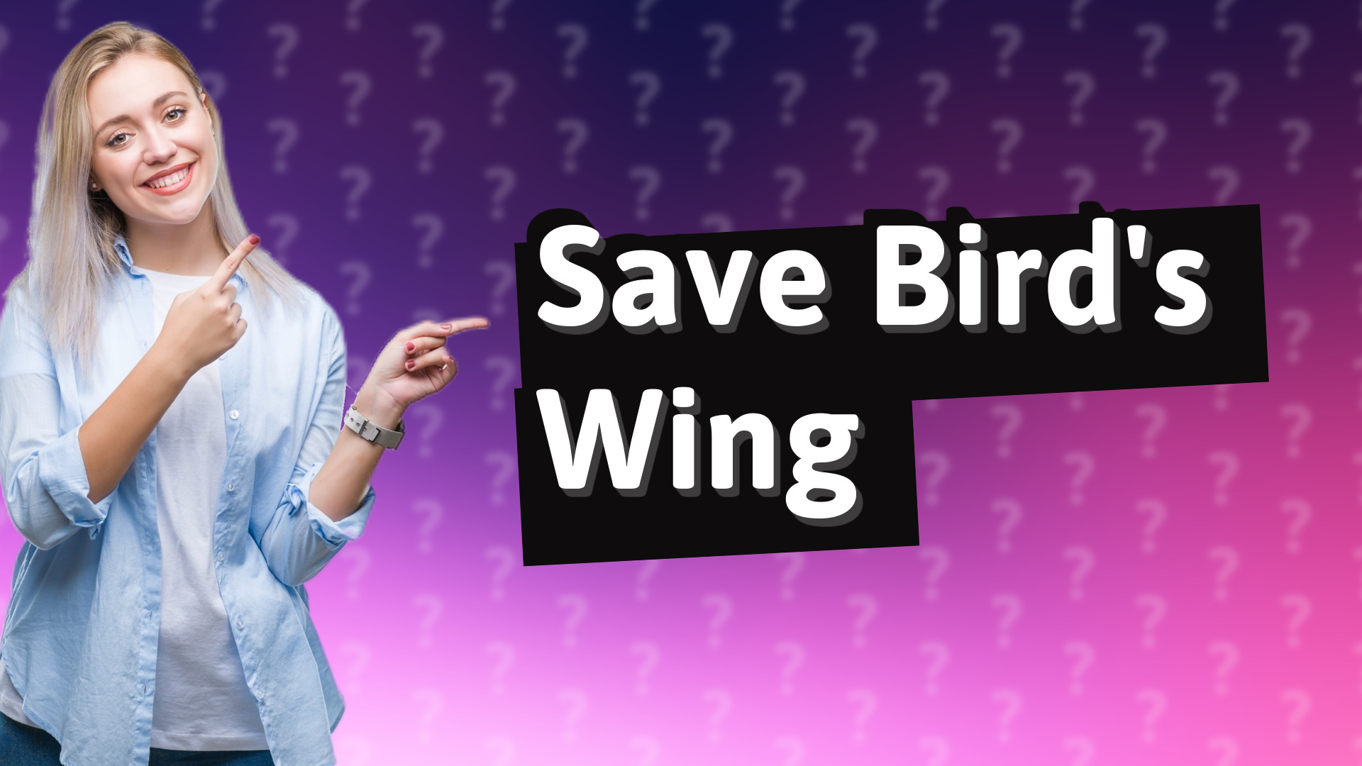 Save Bird's Wing