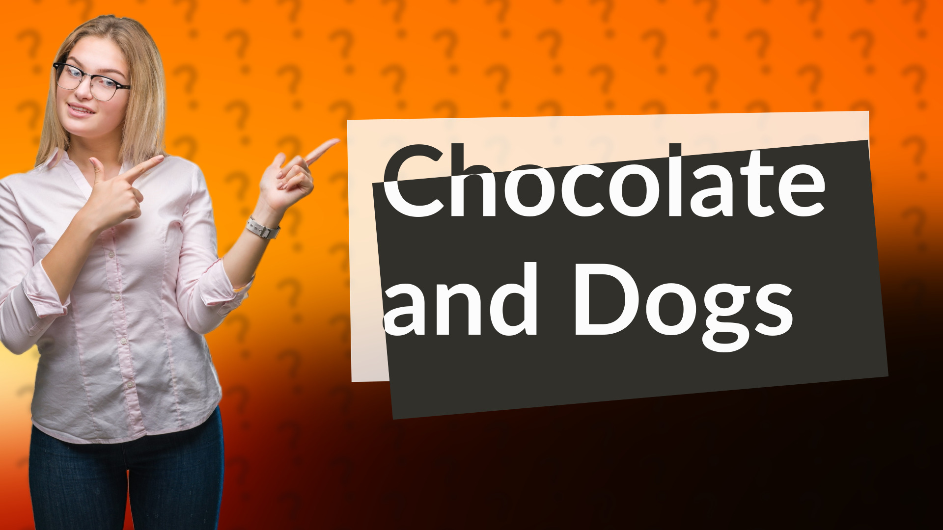 Chocolate and Dogs