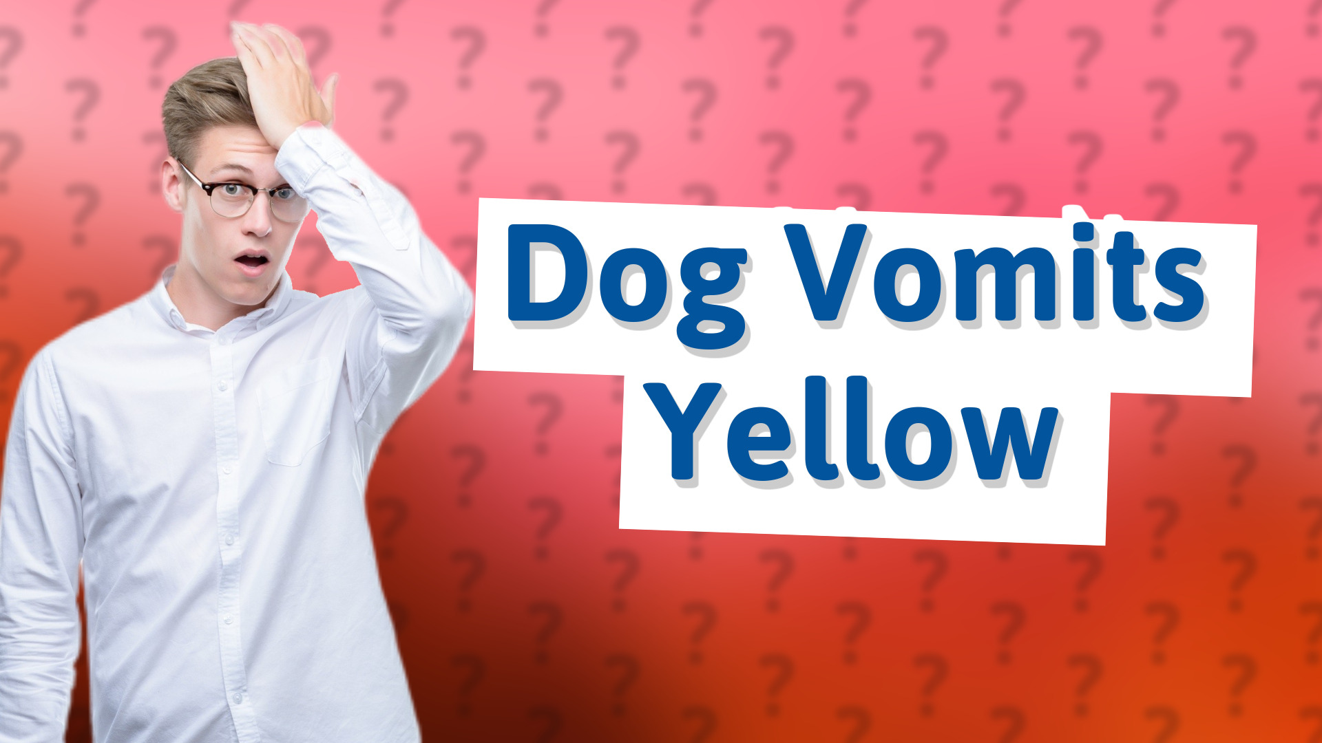 Dog Vomits Yellow