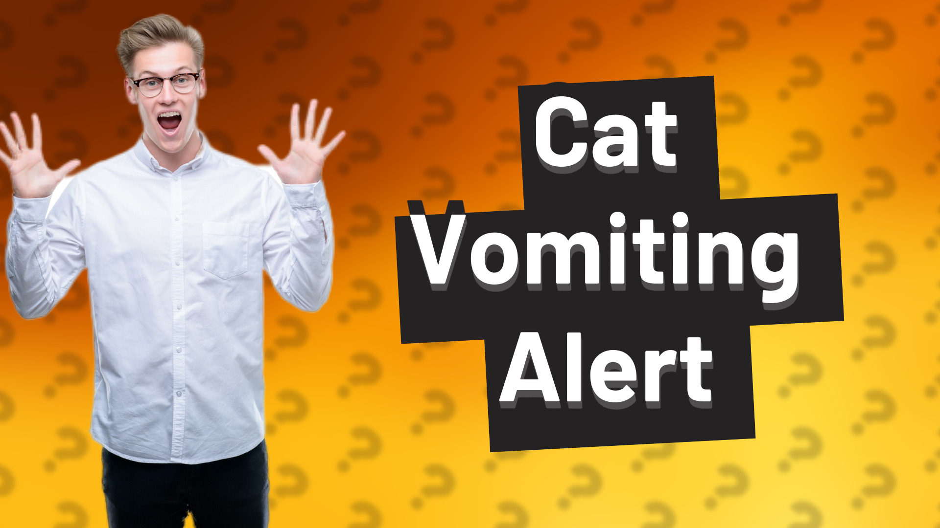 Cat Vomiting Alert