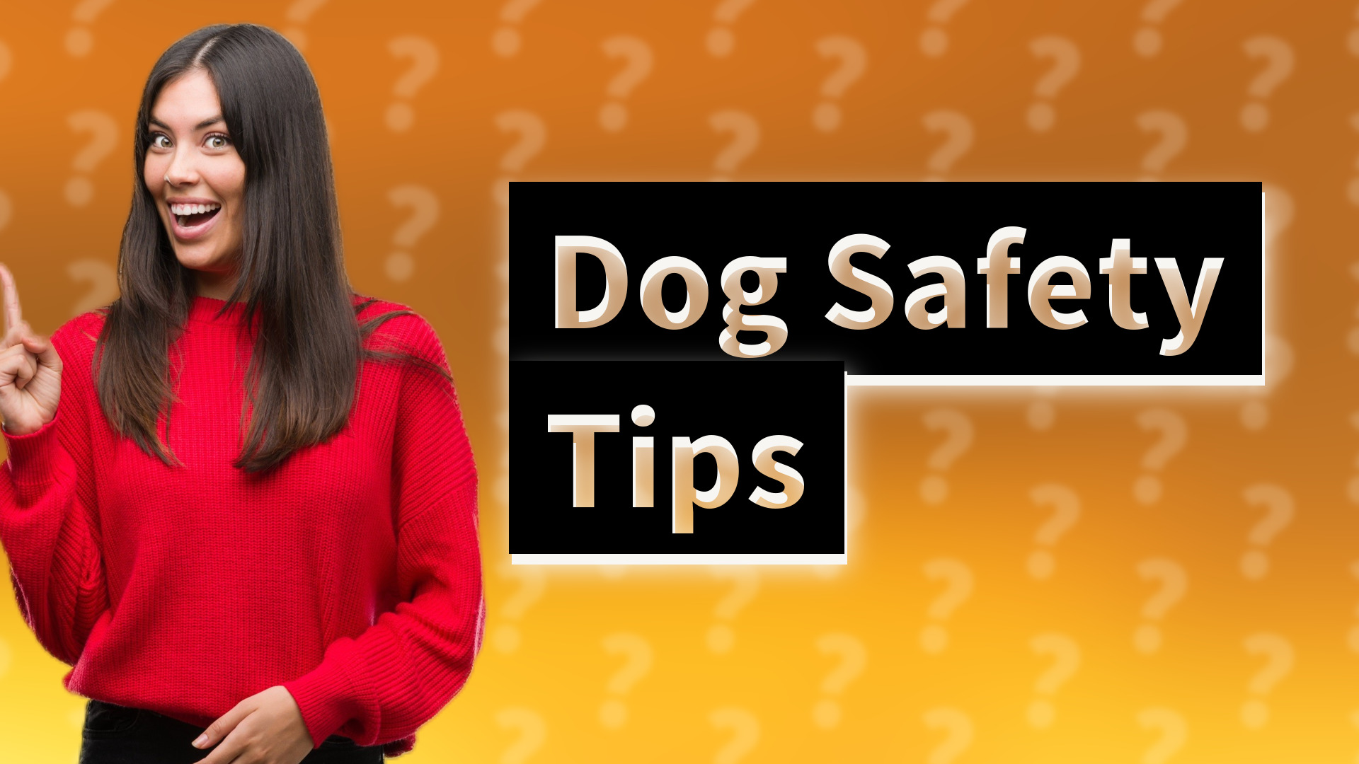 Dog Safety Tips