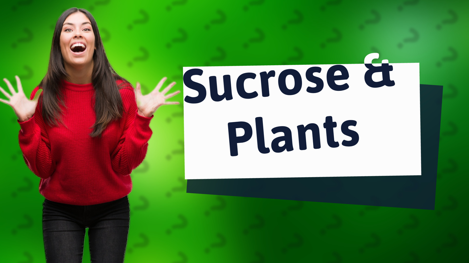 Sucrose & Plants