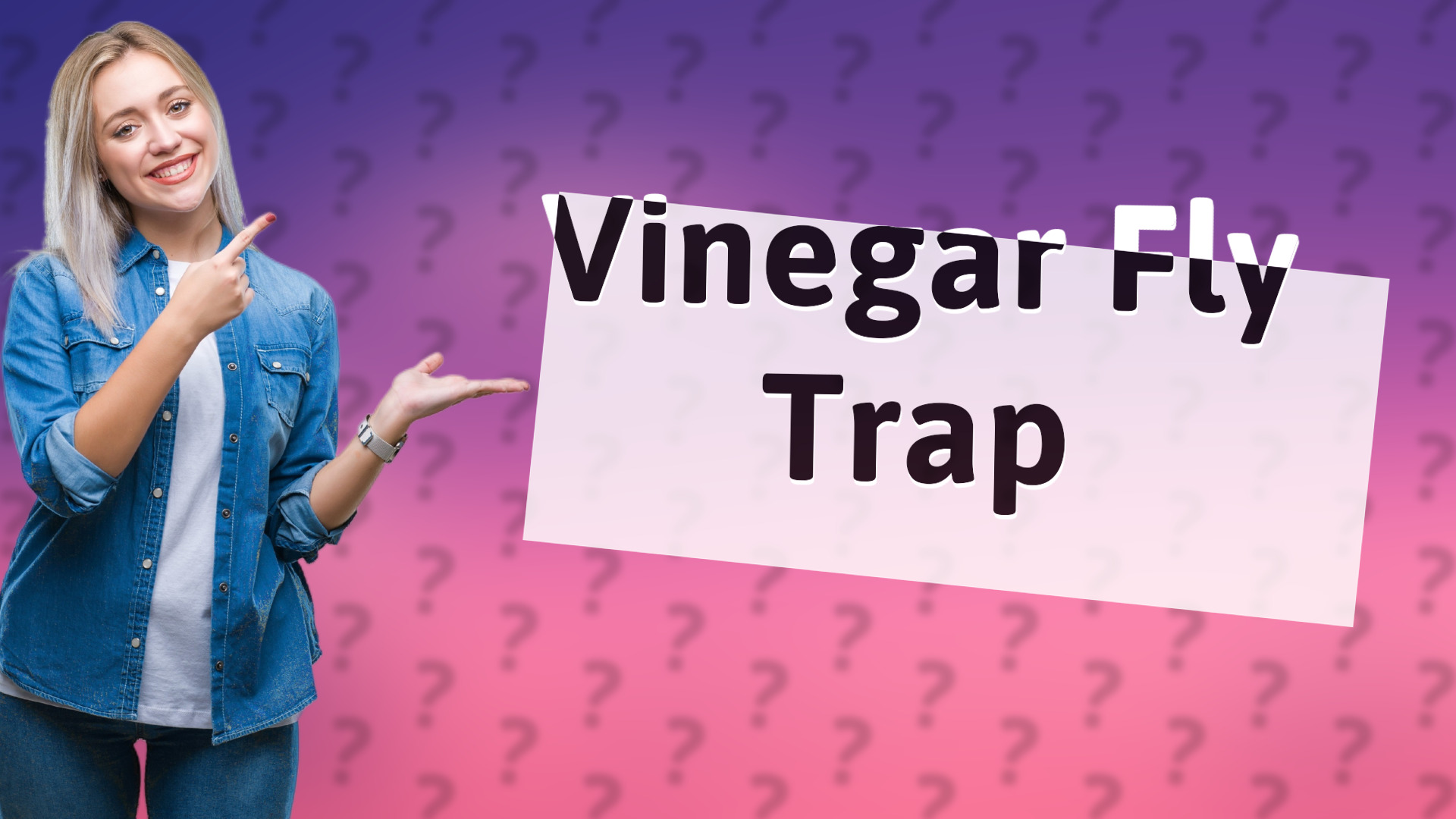 Vinegar Fly Trap