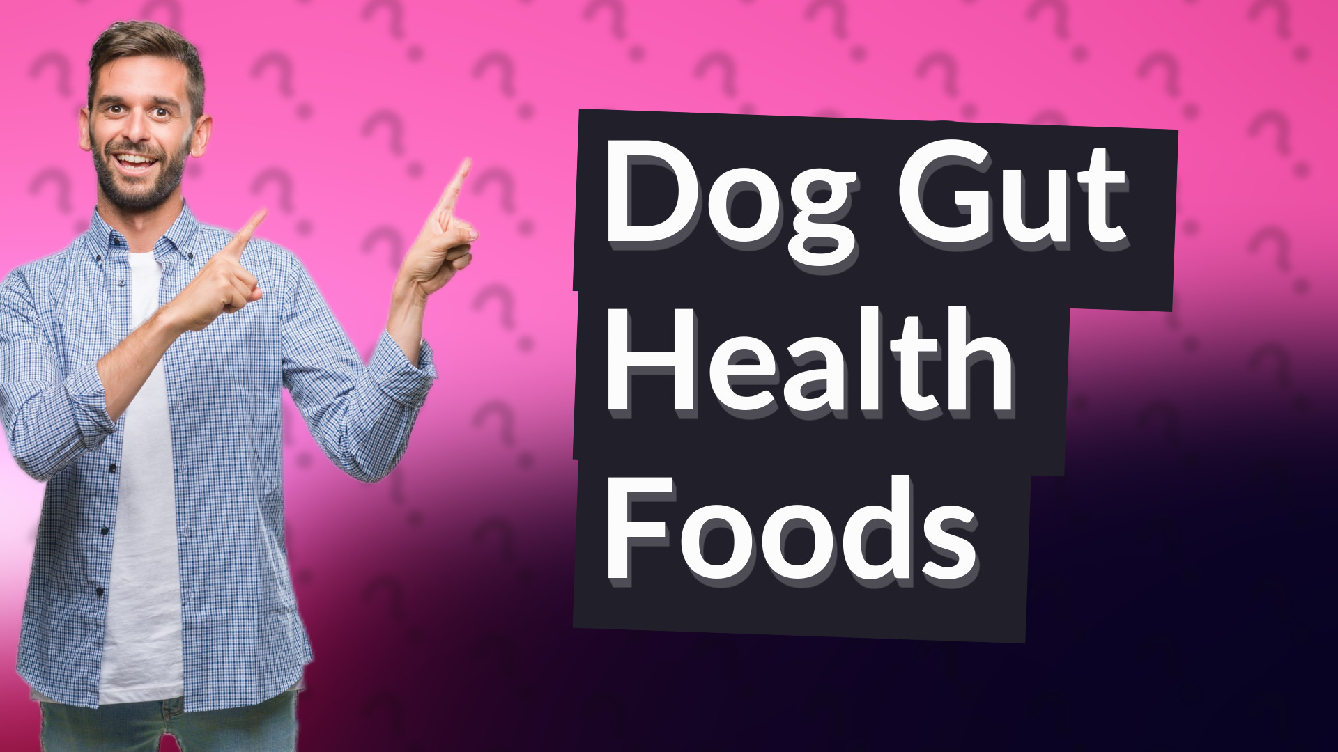 Dog Gut Health Foods