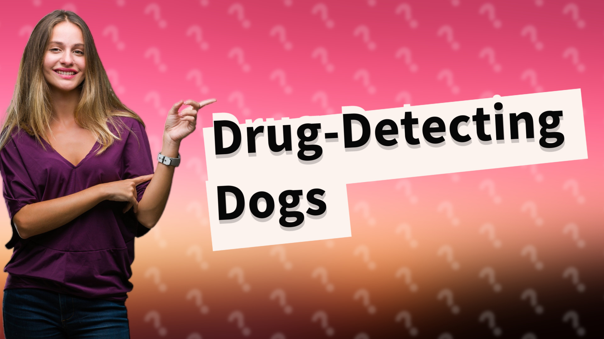 Drug-Detecting Dogs