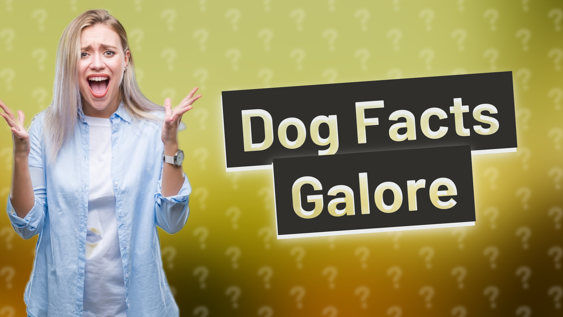 Dog Facts Galore