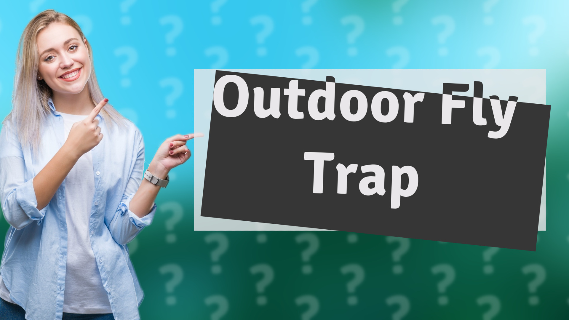 Outdoor Fly Trap
