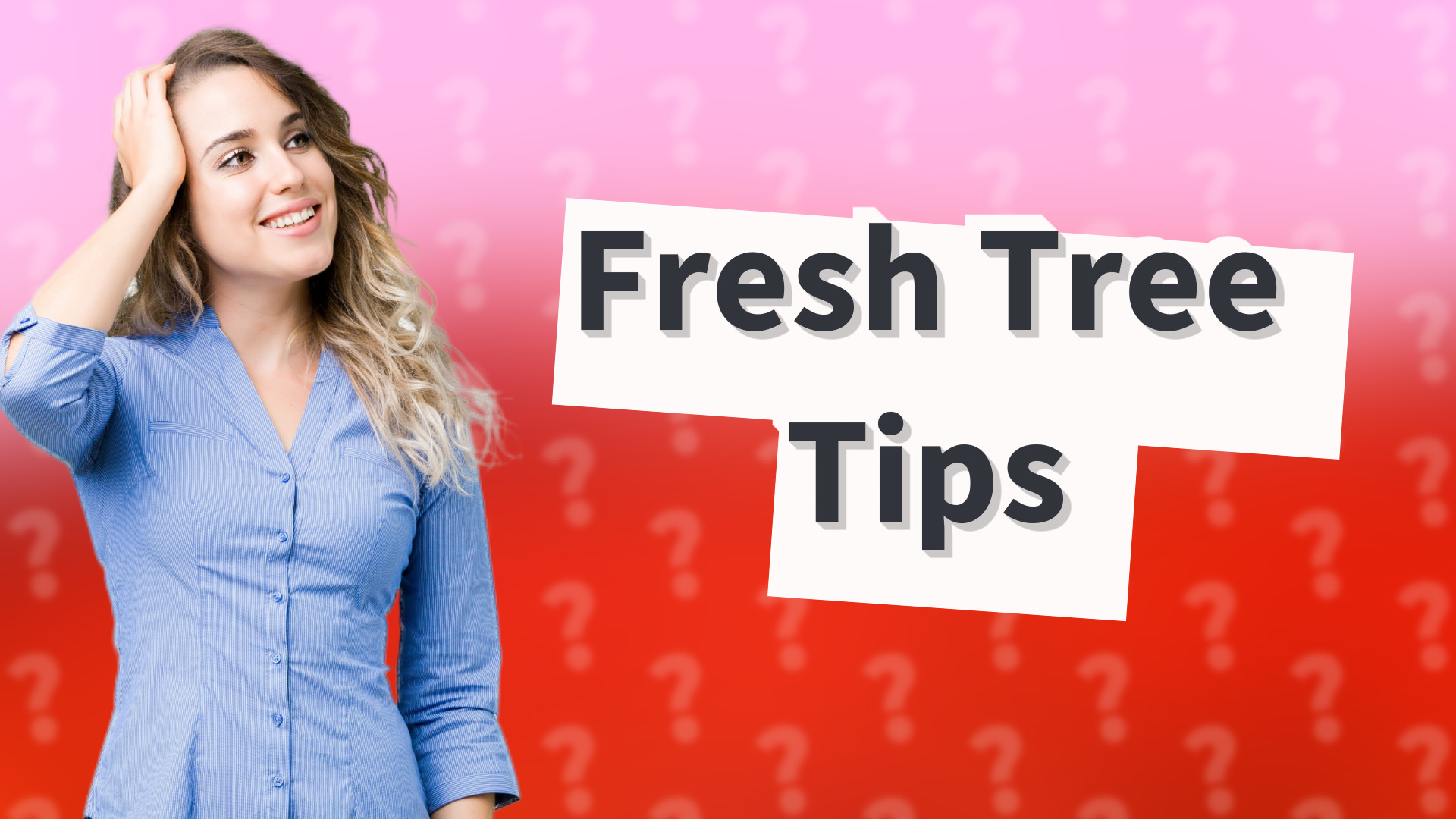 Fresh Tree Tips