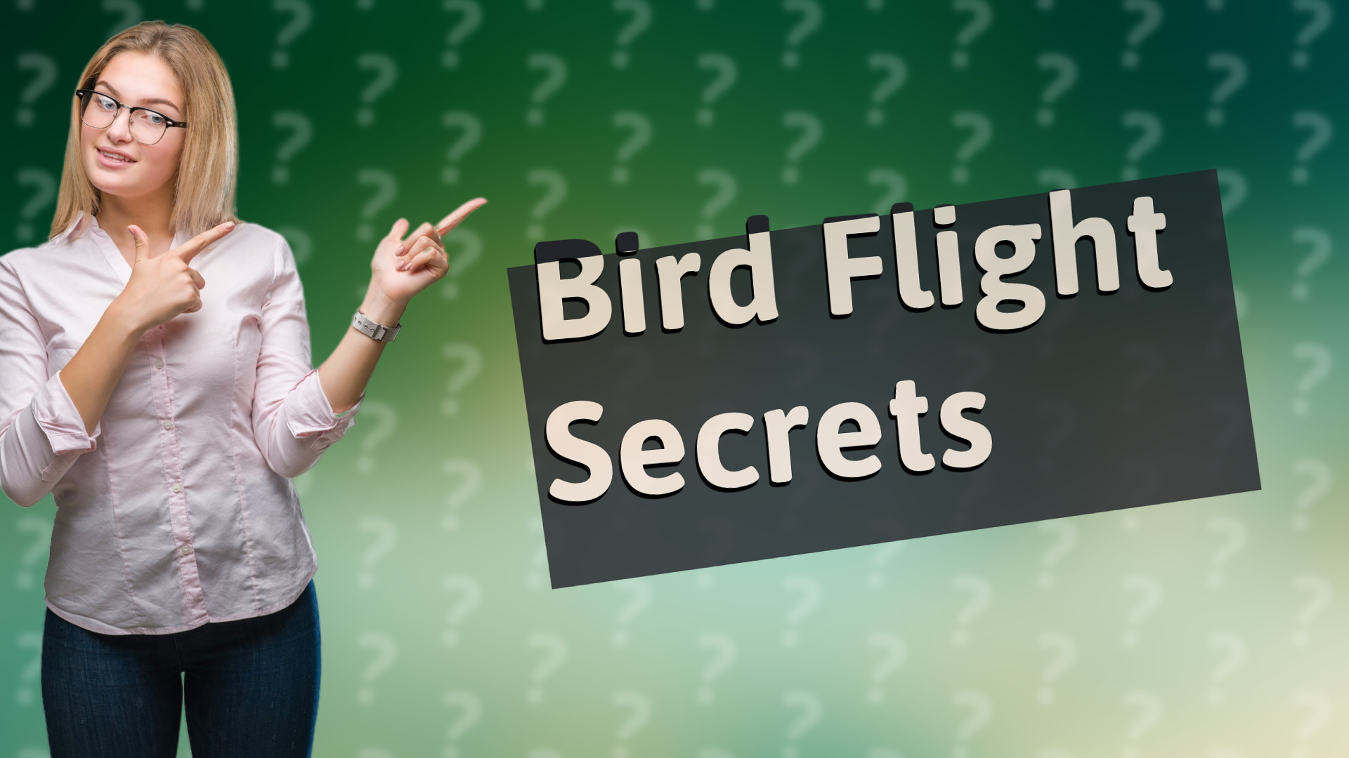 Bird Flight Secrets